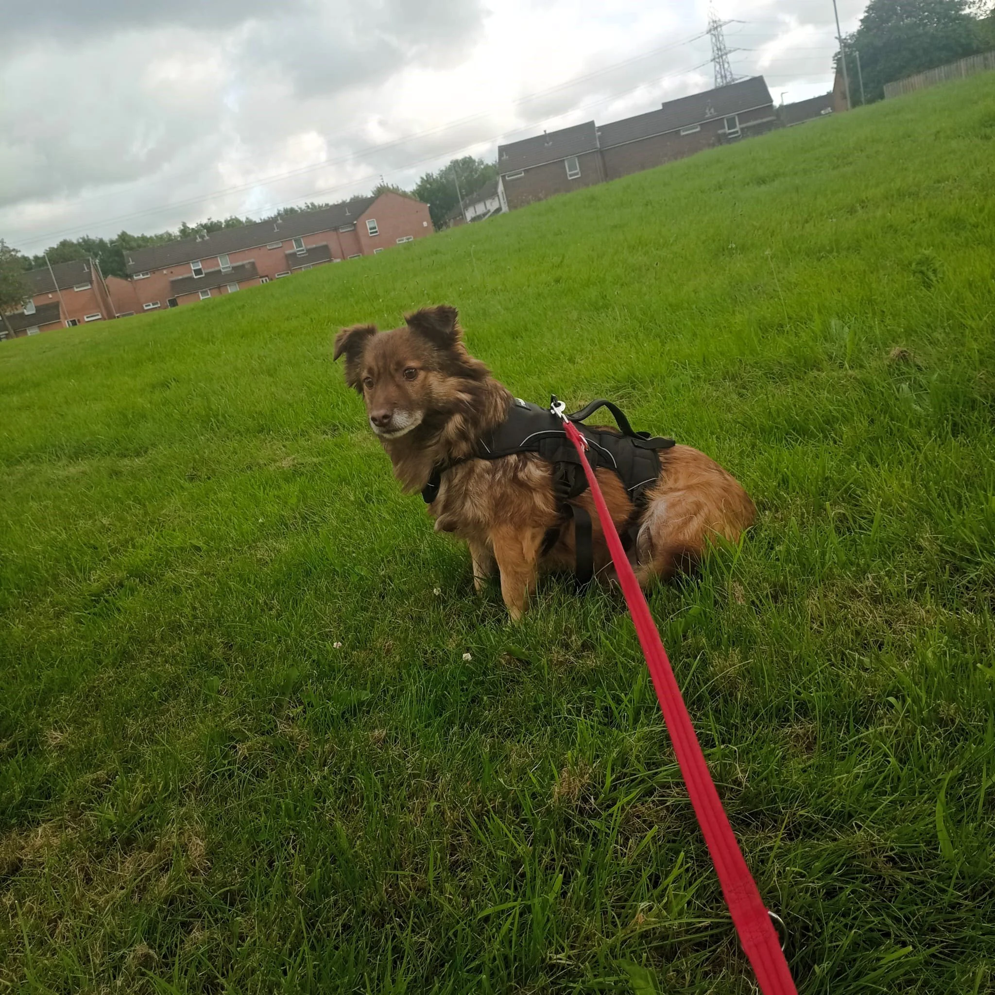 WhatsApp Image 2024-07-22 at 19.37.52.jpeg