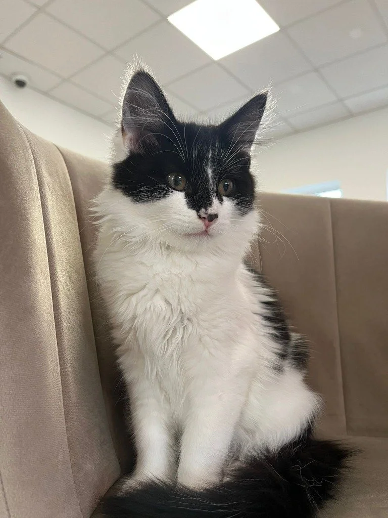 Peggy, May 2026
