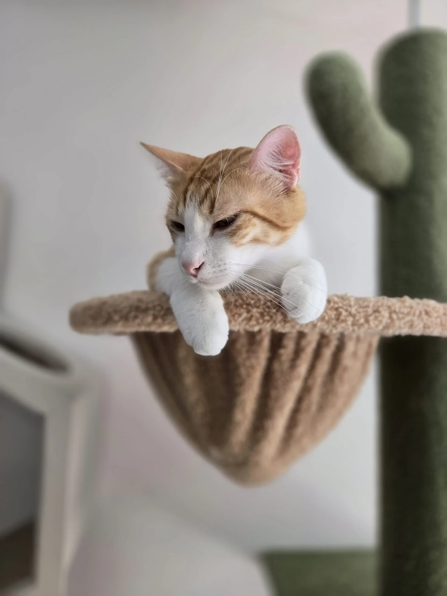 WhatsApp Image 2025-07-30 at 15.01.53 (3).jpeg