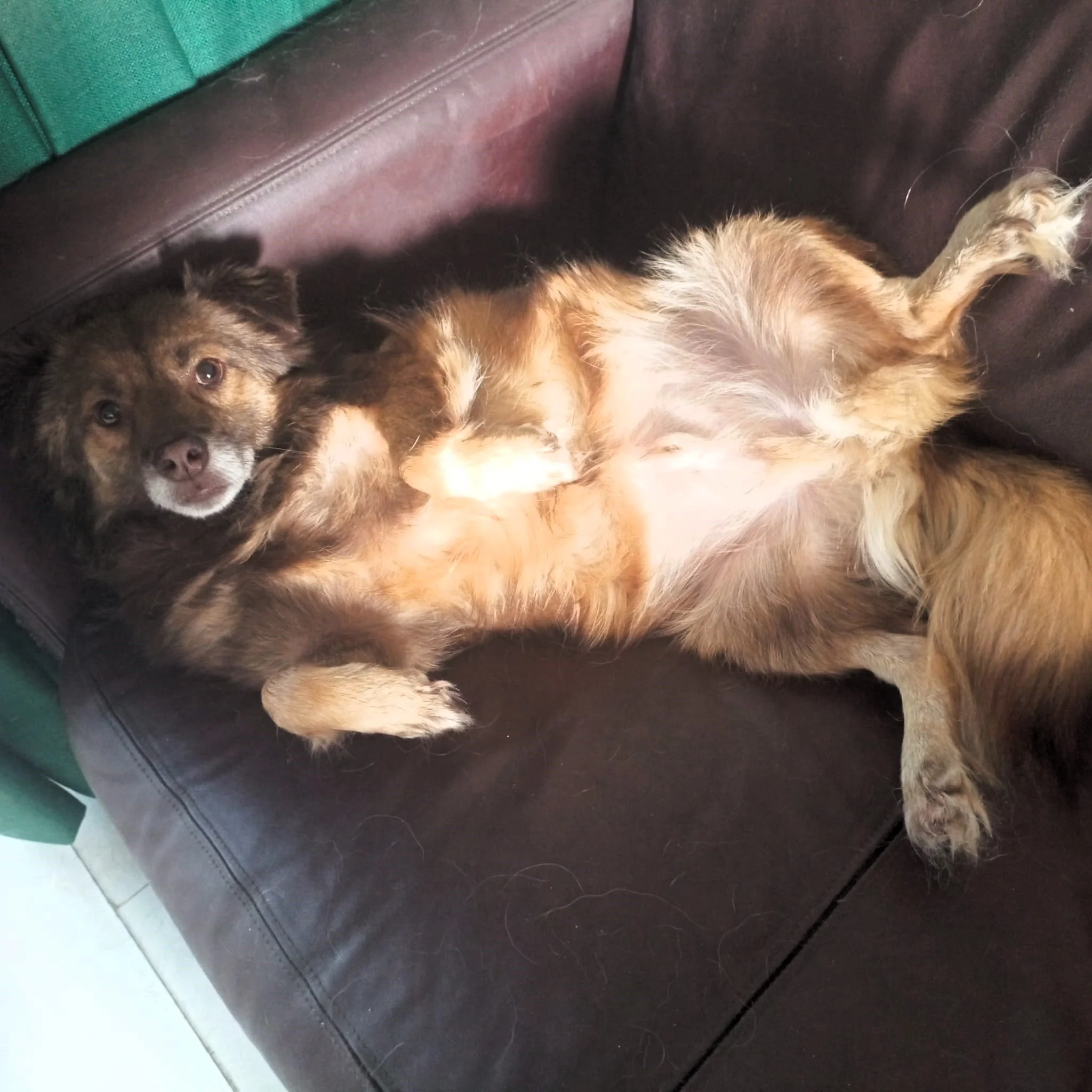 WhatsApp Image 2024-07-22 at 19.38.12.jpeg