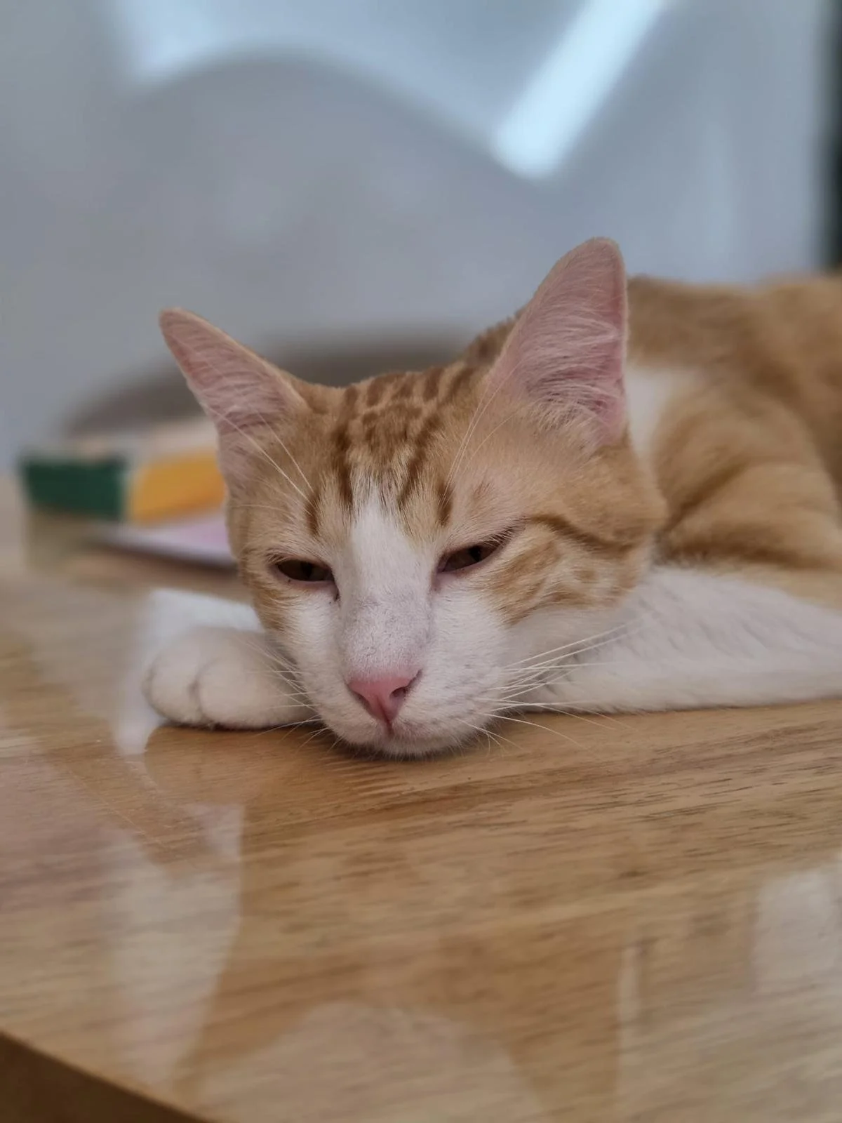 WhatsApp Image 2025-07-19 at 16.48.43 (3).jpeg