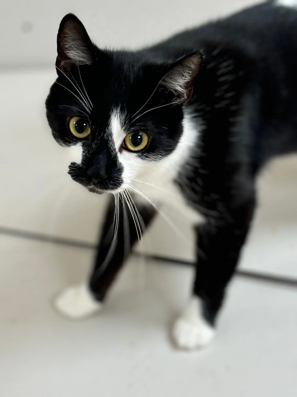 WhatsApp Image 2025-06-25 at 12.58.16 (3).jpeg