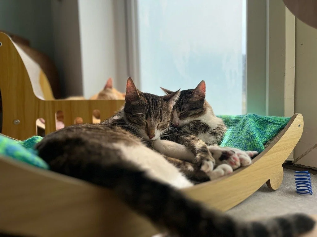 Johnny Utah & Bodhi, August 2026