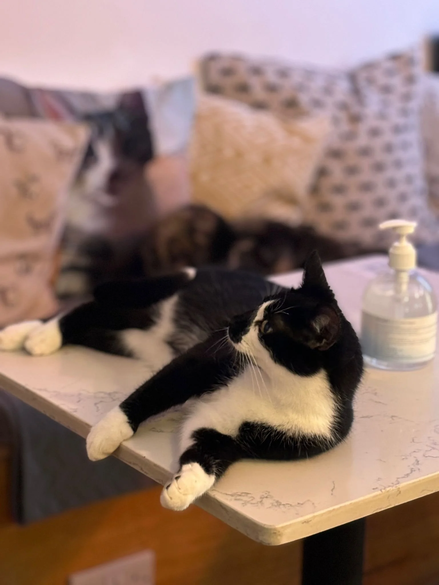 WhatsApp Image 2025-07-30 at 15.01.50 (1).jpeg