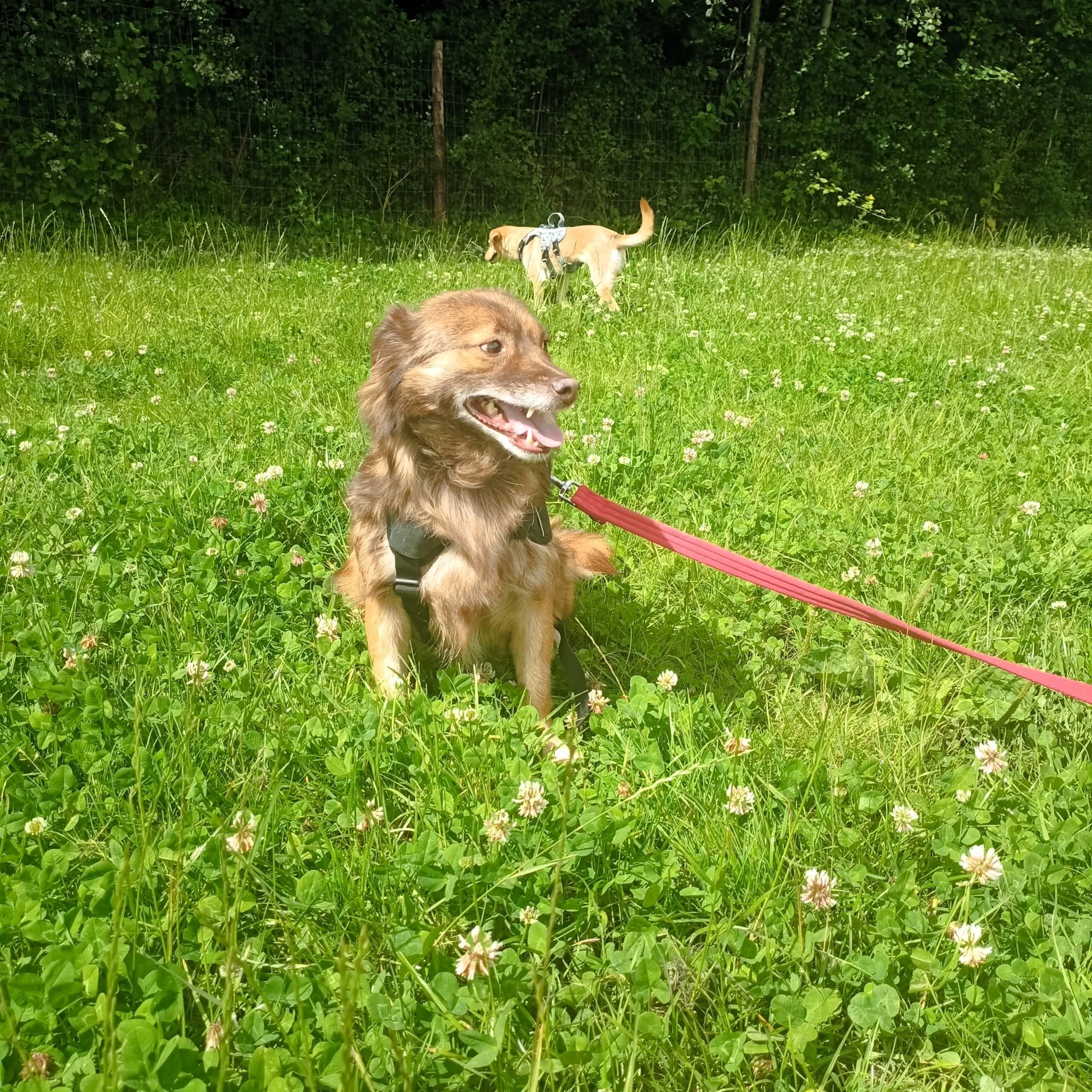 WhatsApp Image 2024-07-22 at 19.37.38 (1).jpeg