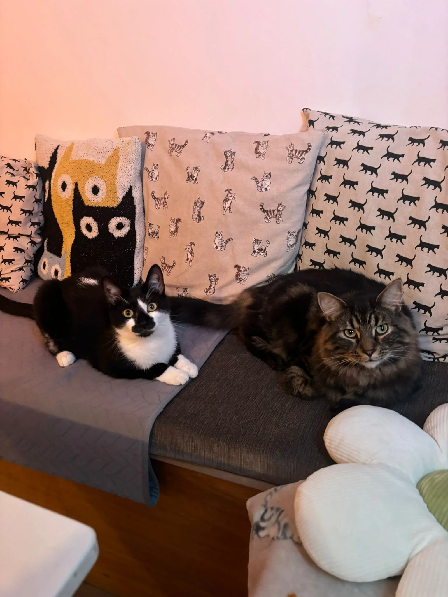 WhatsApp Image 2025-08-05 at 19.08.48 (1).jpeg