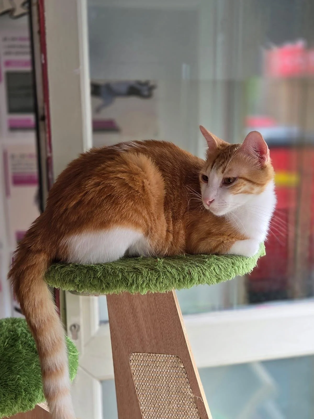 WhatsApp Image 2025-07-19 at 16.48.44 (5).jpeg