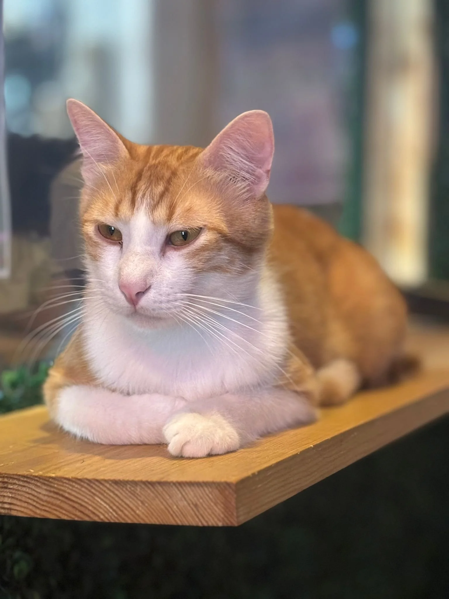 WhatsApp Image 2025-08-05 at 19.08.47 (2).jpeg