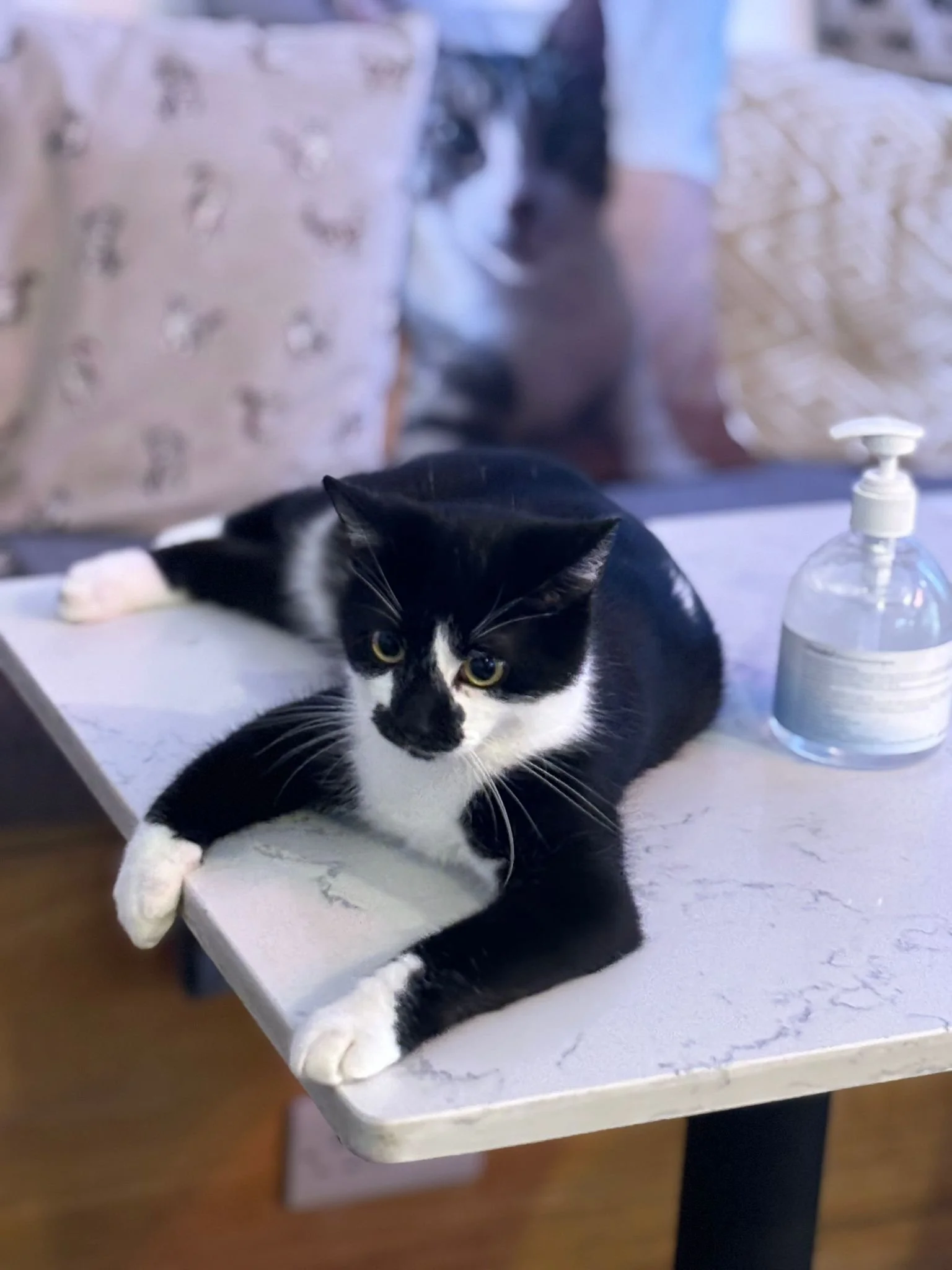 WhatsApp Image 2025-07-30 at 15.01.51.jpeg