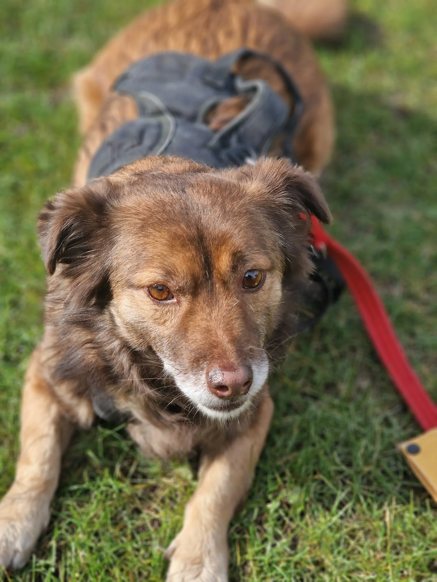 WhatsApp Image 2025-03-23 at 14.29.33.jpeg