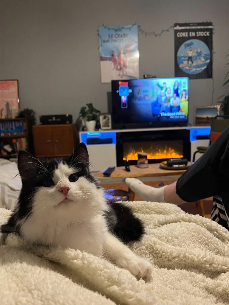 Pugsley, January 2026