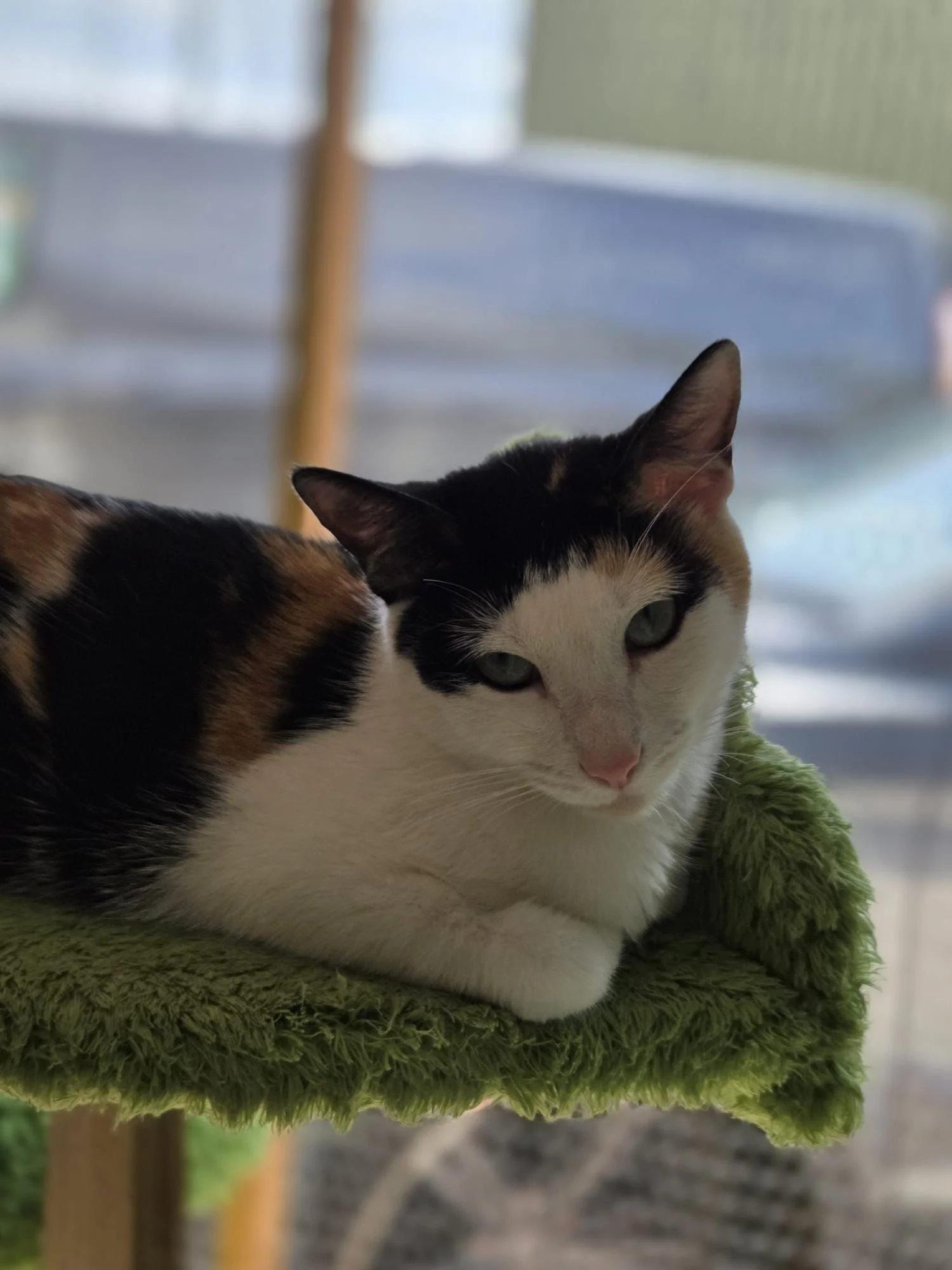 WhatsApp Image 2025-07-30 at 15.01.52 (1).jpeg