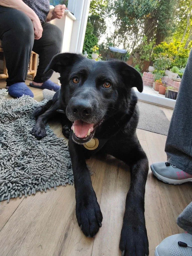 Blackjack, November 2025