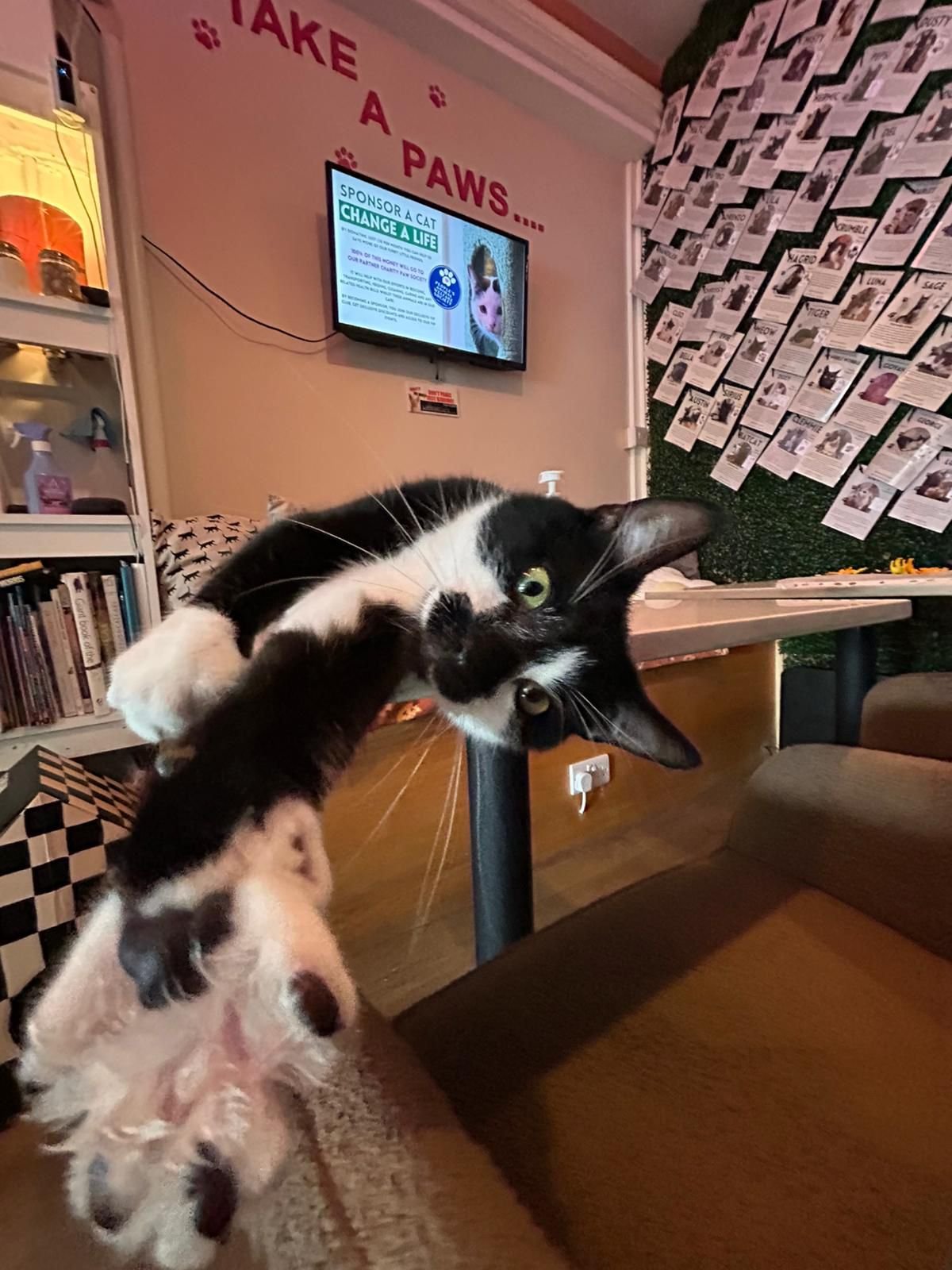 WhatsApp Image 2025-08-05 at 19.08.50 (2).jpeg