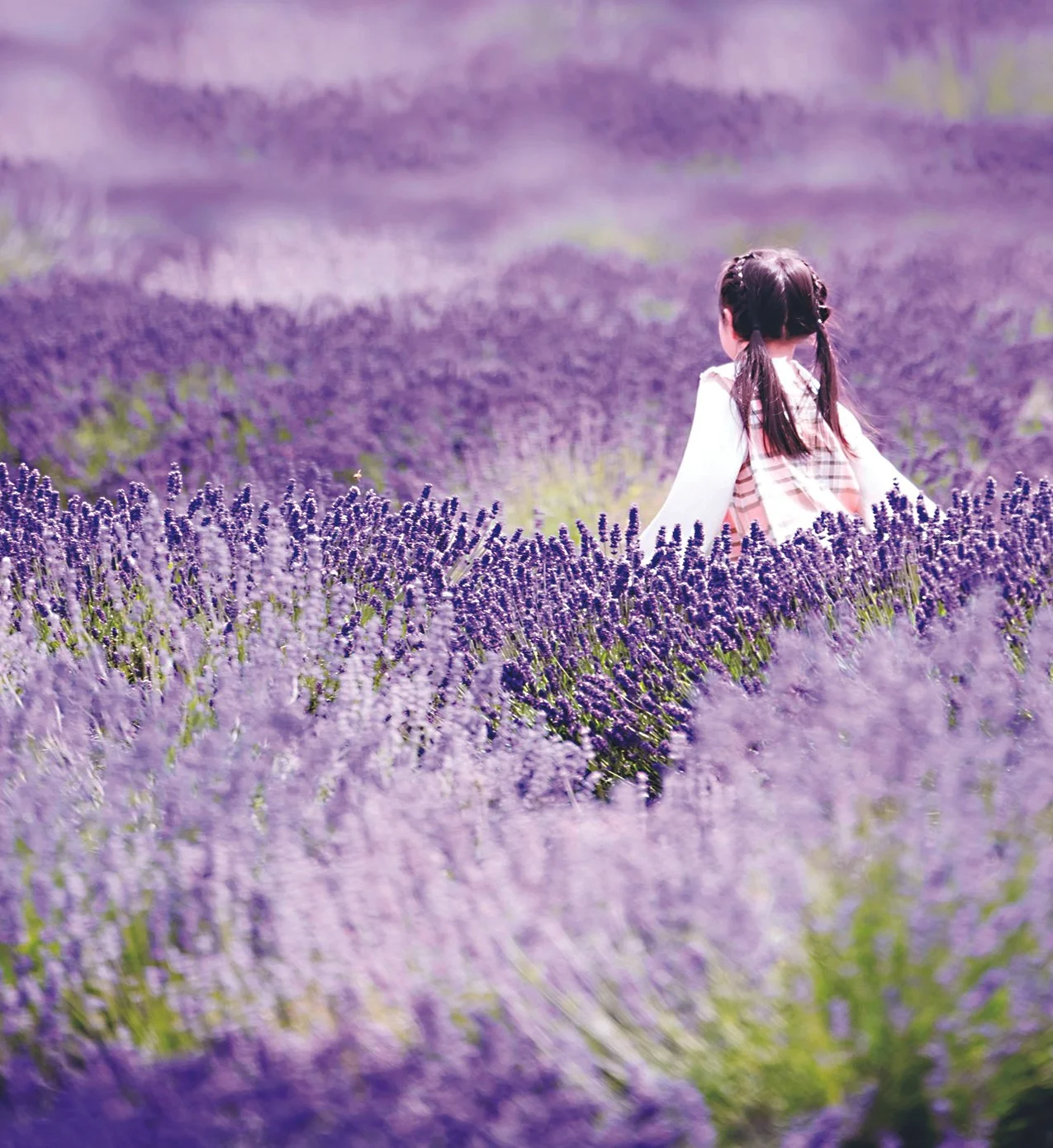 The Rural Ethicist: Talkin’ Trash (with Lavender)