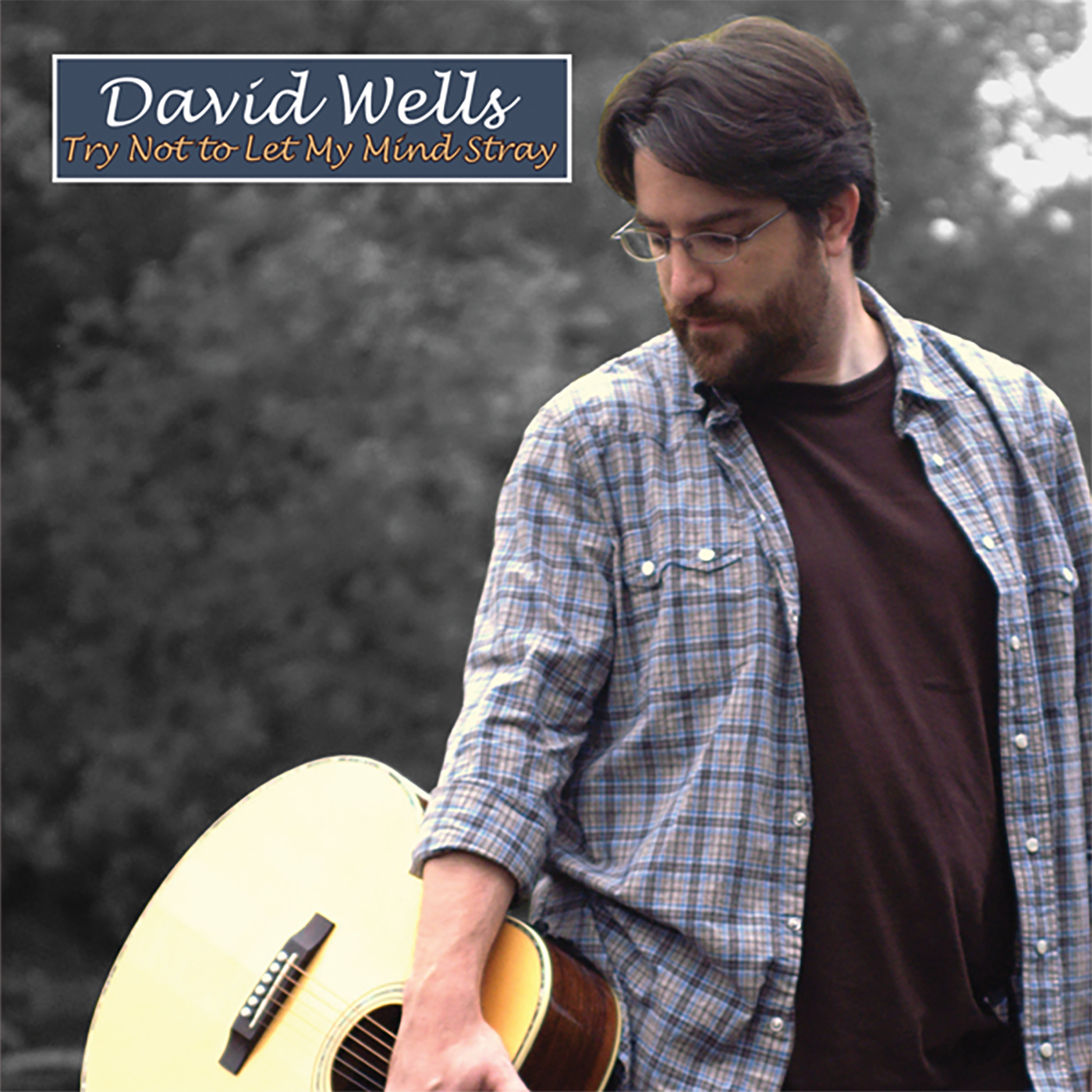 David Wells - Try Not to Let My Mind Stray album cover.