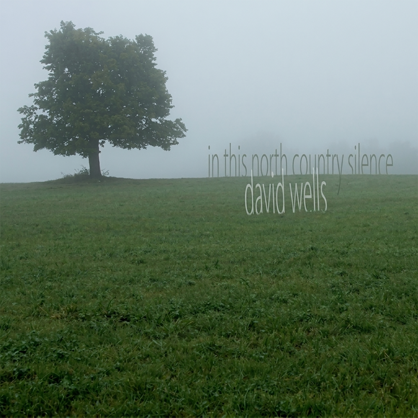 David Wells - In This North Country Silence album cover.