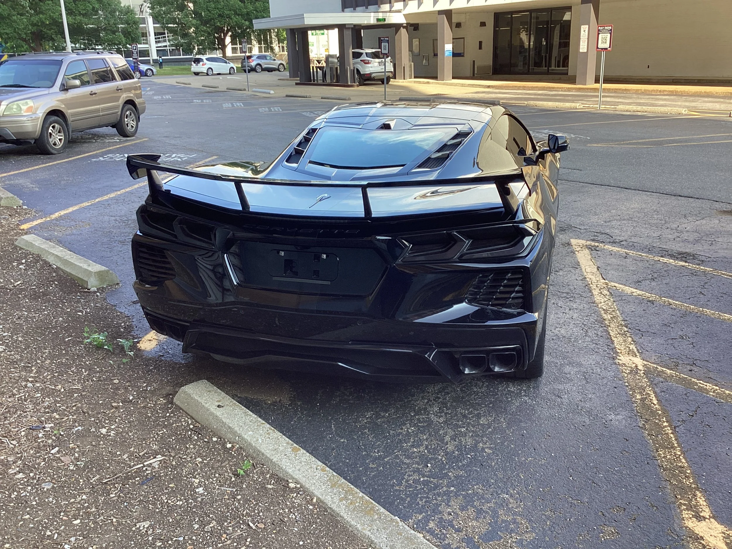 Corvette Back.jpg
