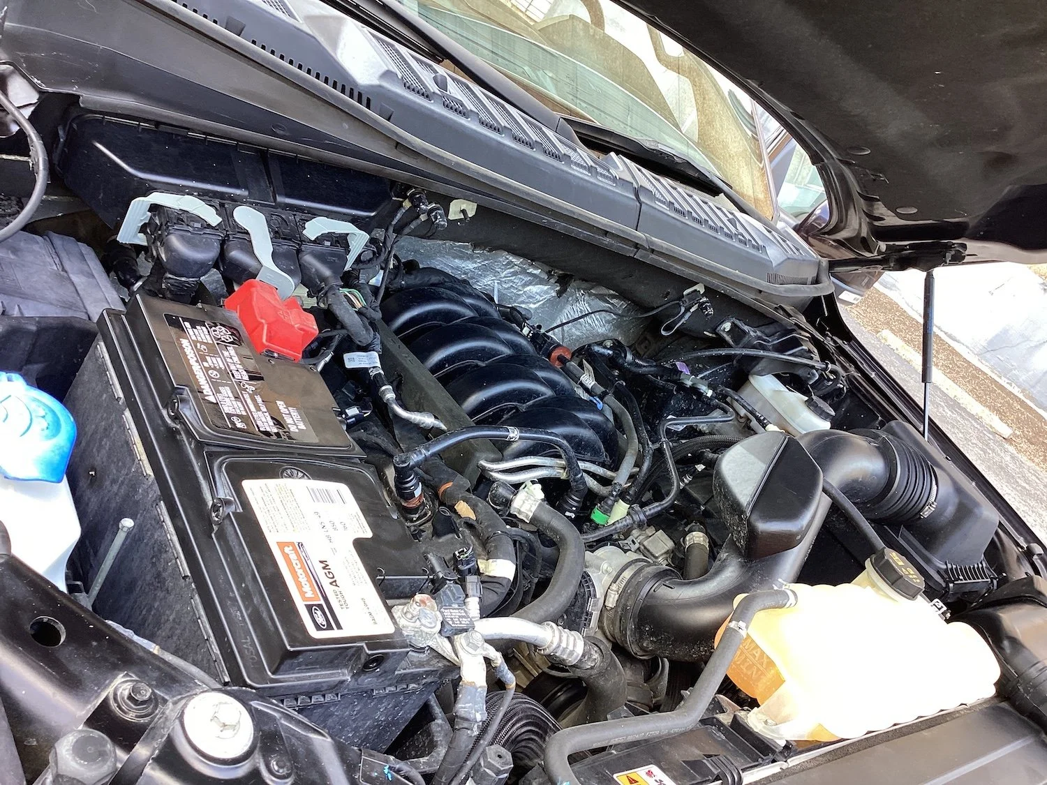 F-150 Engine.jpg