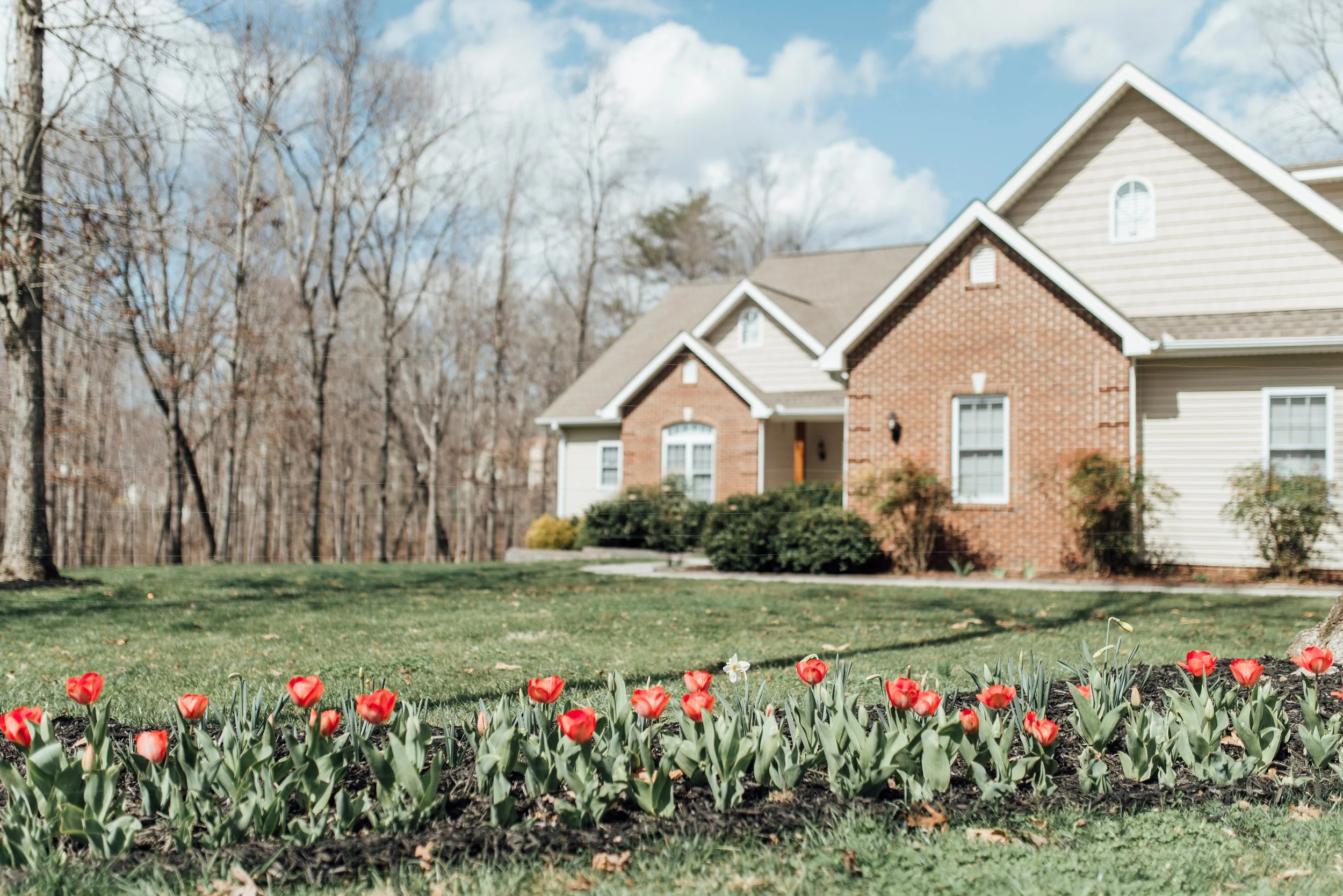 Buying or Refinancing in Tennessee?