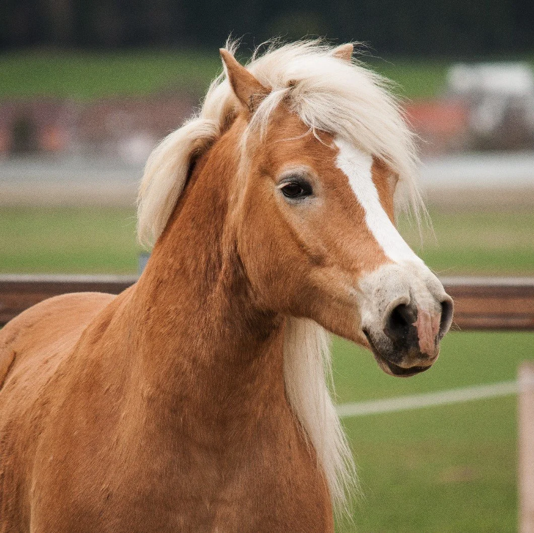 WhatsApp Image 2023-01-27 at 18.58.54.jpeg