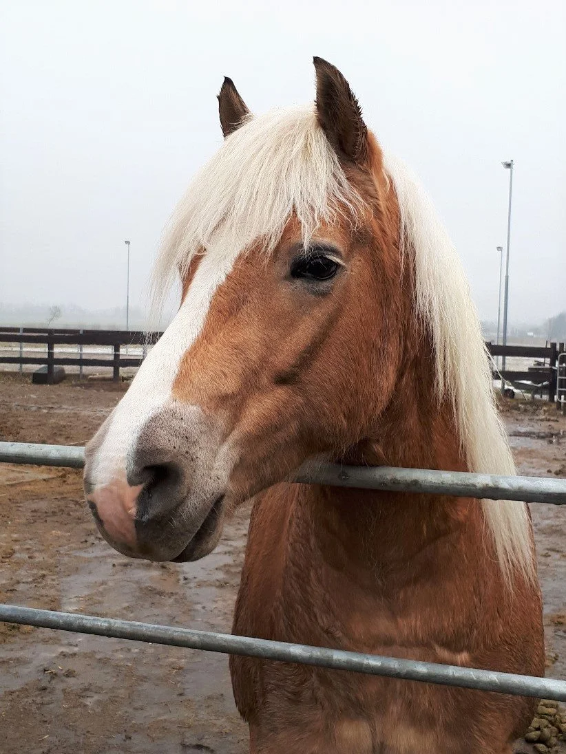 WhatsApp Image 2023-02-04 at 16.07.58.jpeg