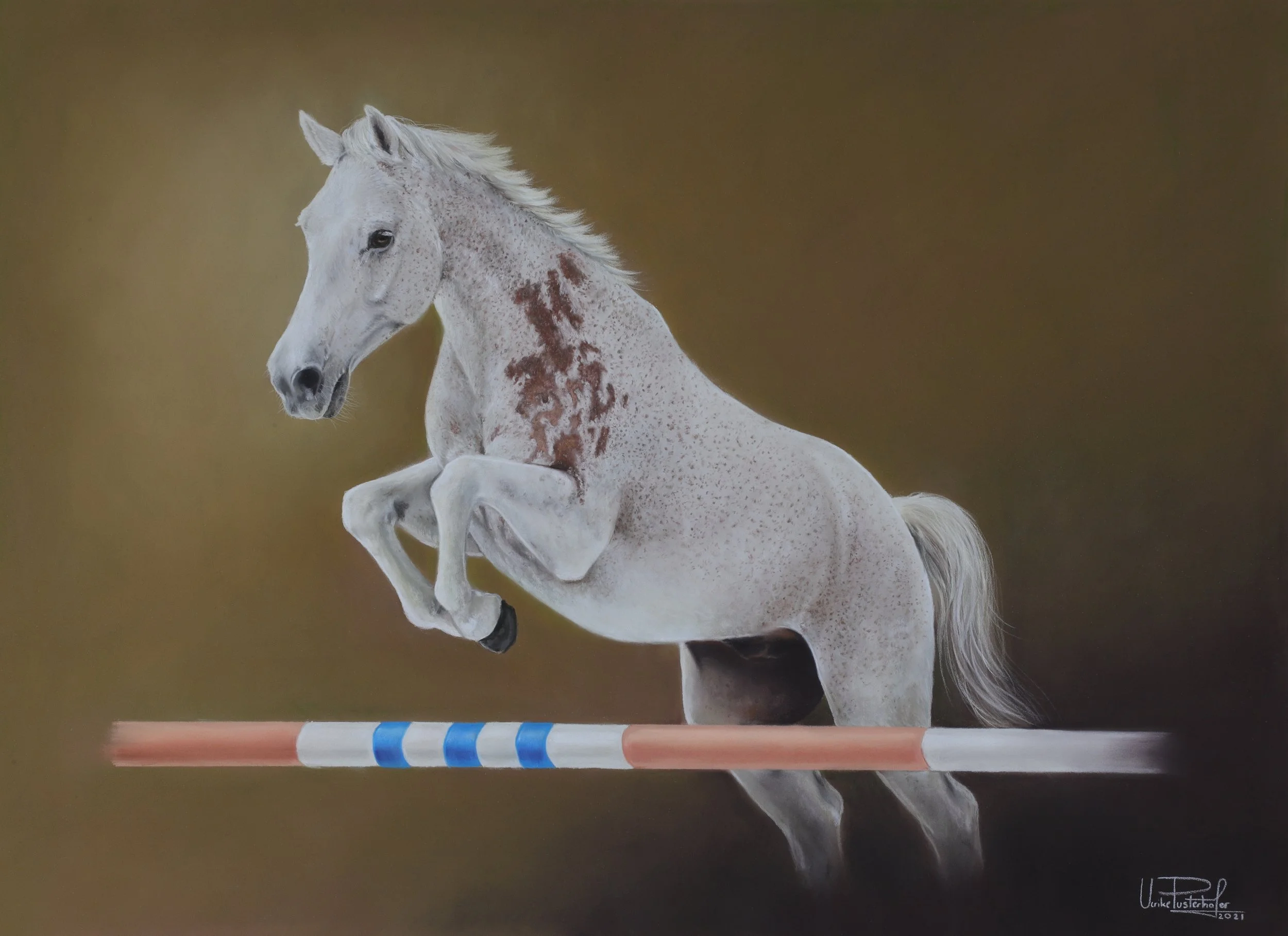 11J2021-1-Z Special Effect.JPG