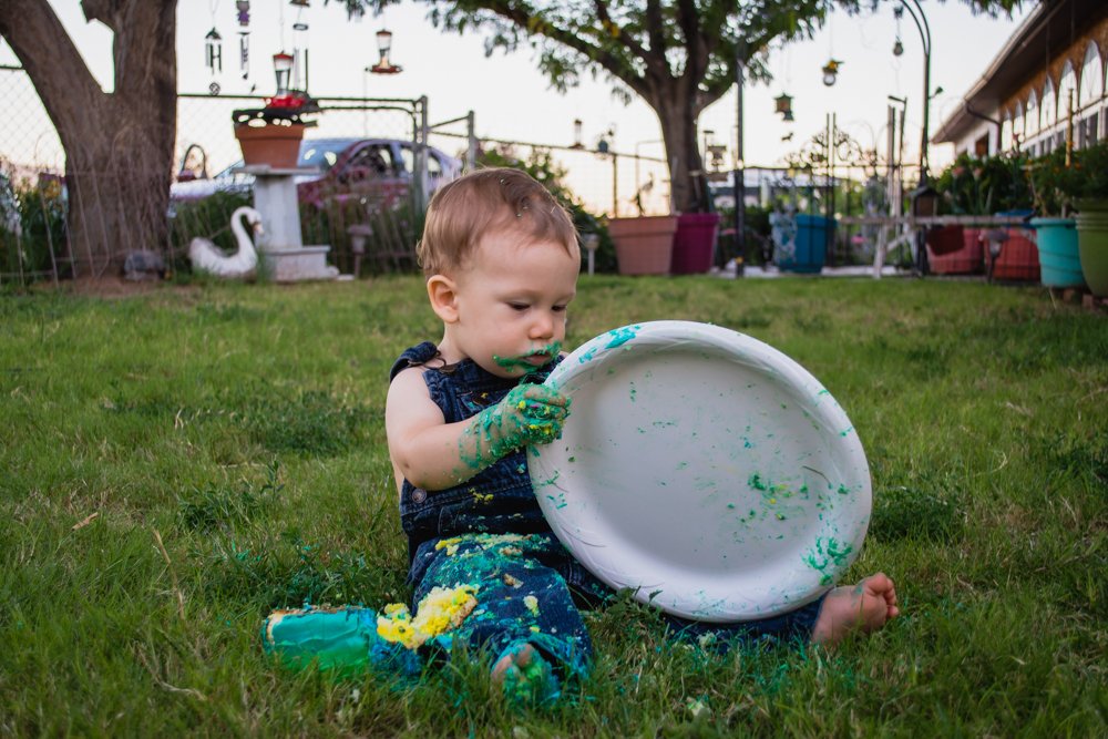 Joshua's First Birthday Photos Baby Eating Cake