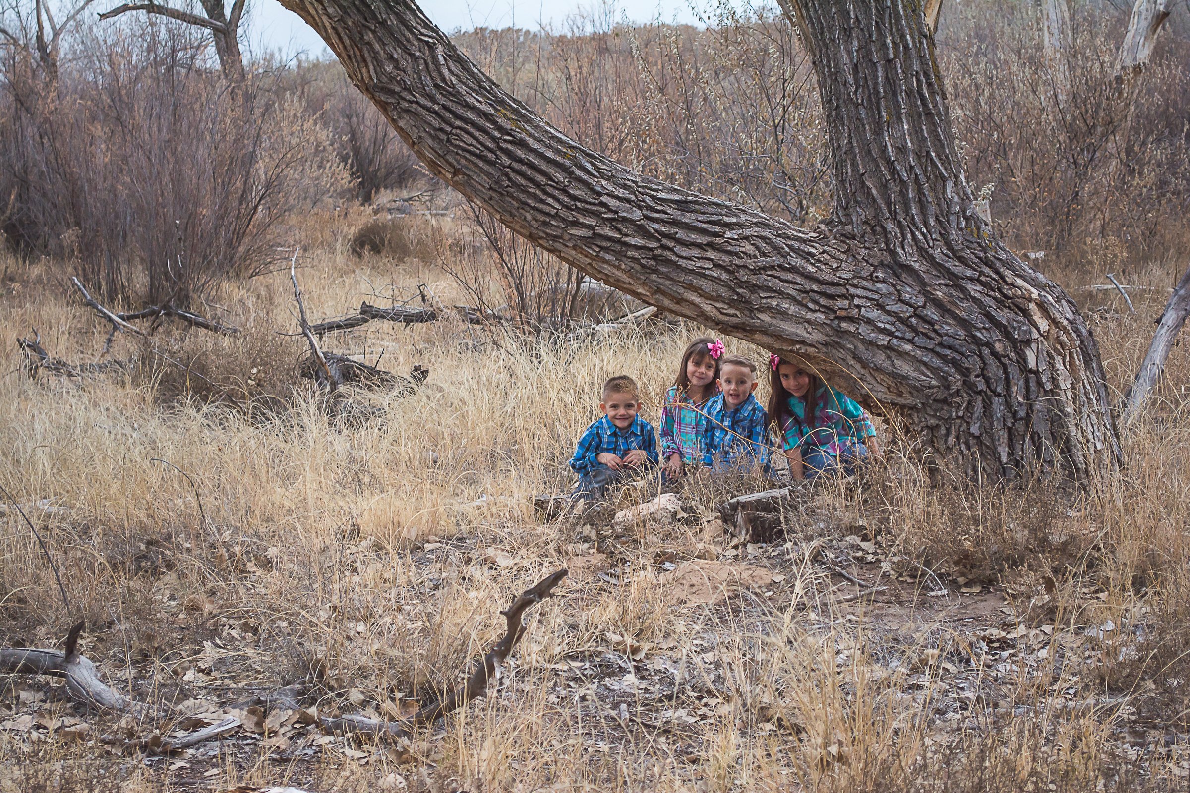 Children hiding during Los Lunas River Park Family Photo Session