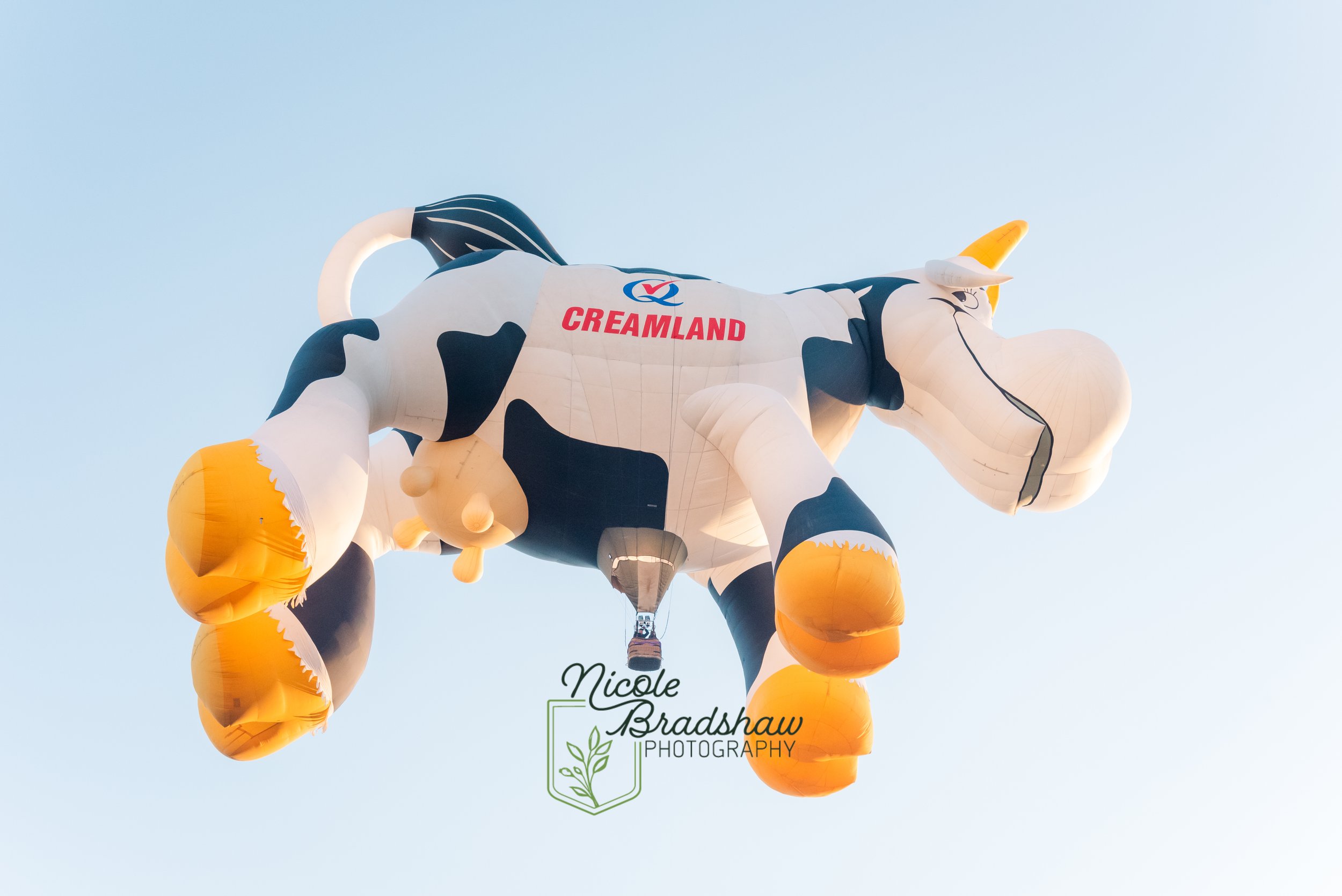 2024 Balloon Fiesta Calendar PREORDER — Nicole Bradshaw Photography