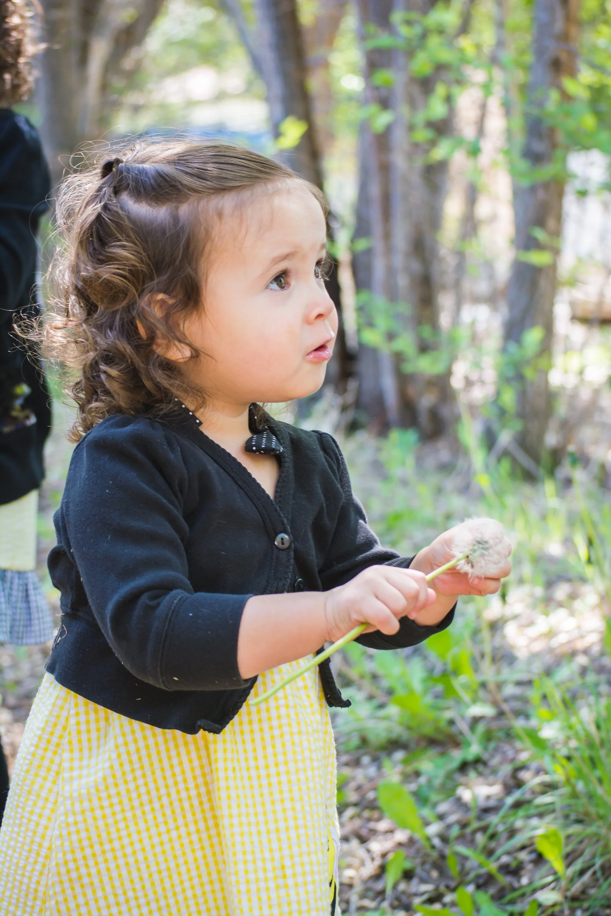 Hay's-Honey-Farm- Photo-Session-5.jpg