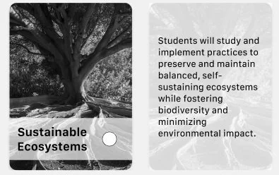 V1 - Radio button bottom. Users were not able to access additional information