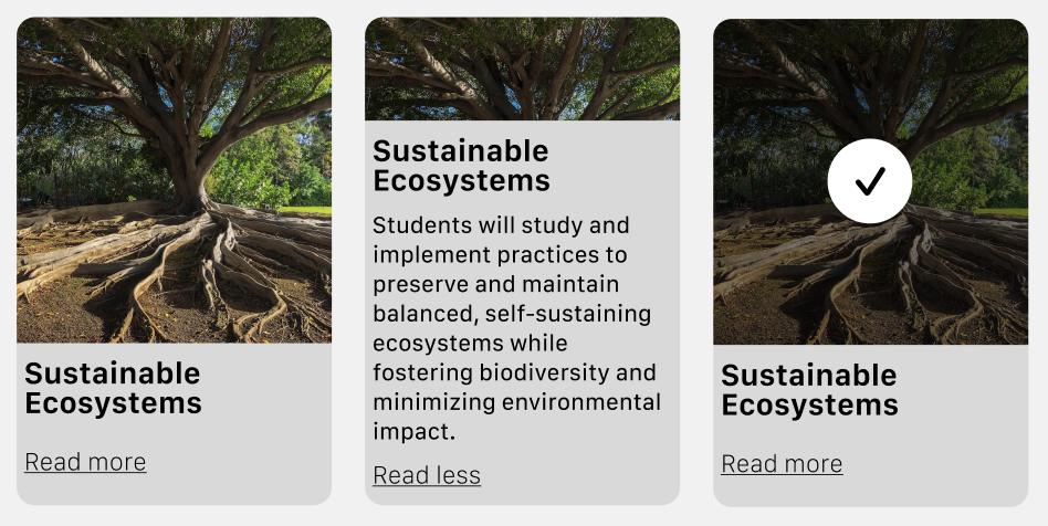 V3 - Read more link. Checkbox in selected state when users tap on picture. Selection option is not visible at first glance.