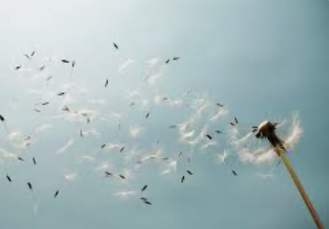 Tuning Into Your Breath