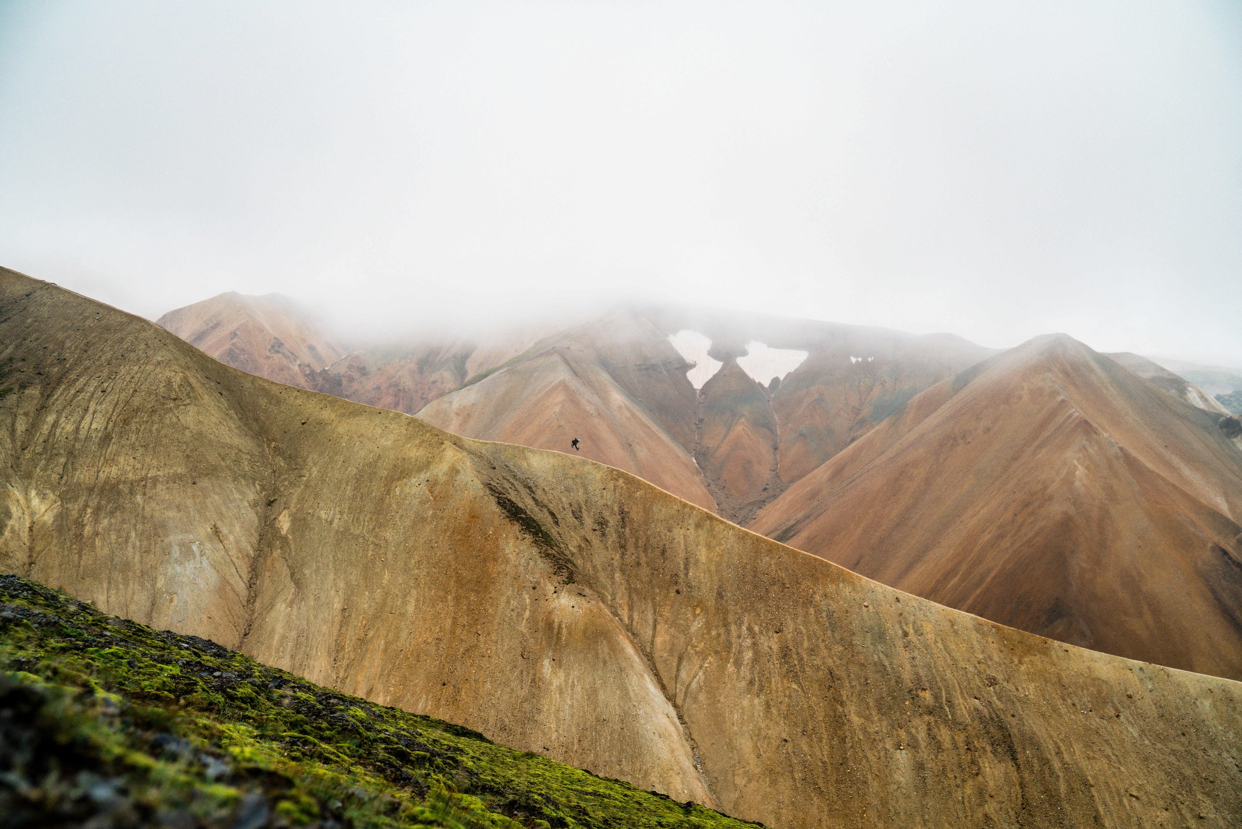 A7R02907_compressed.jpg