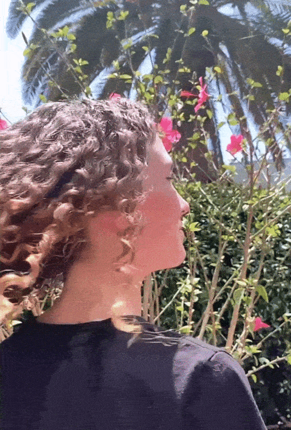 curly hair salon santa monica