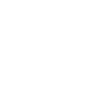 Lock icon inside a shield