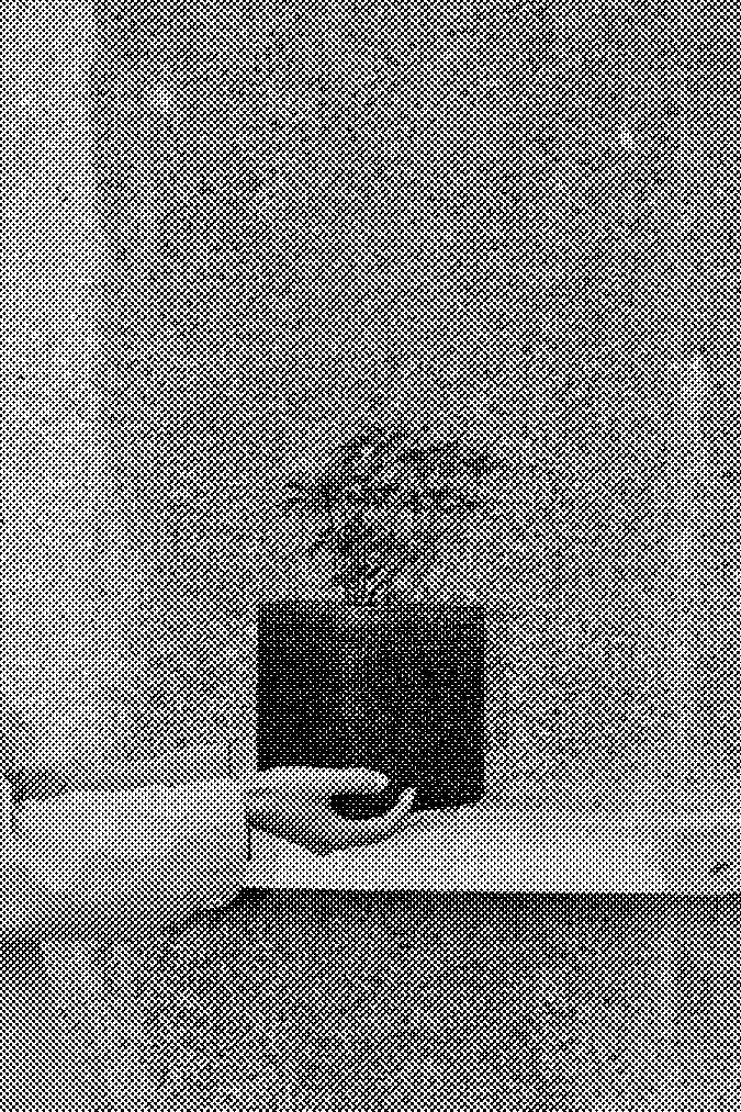 KleeKlee / Landscape containers