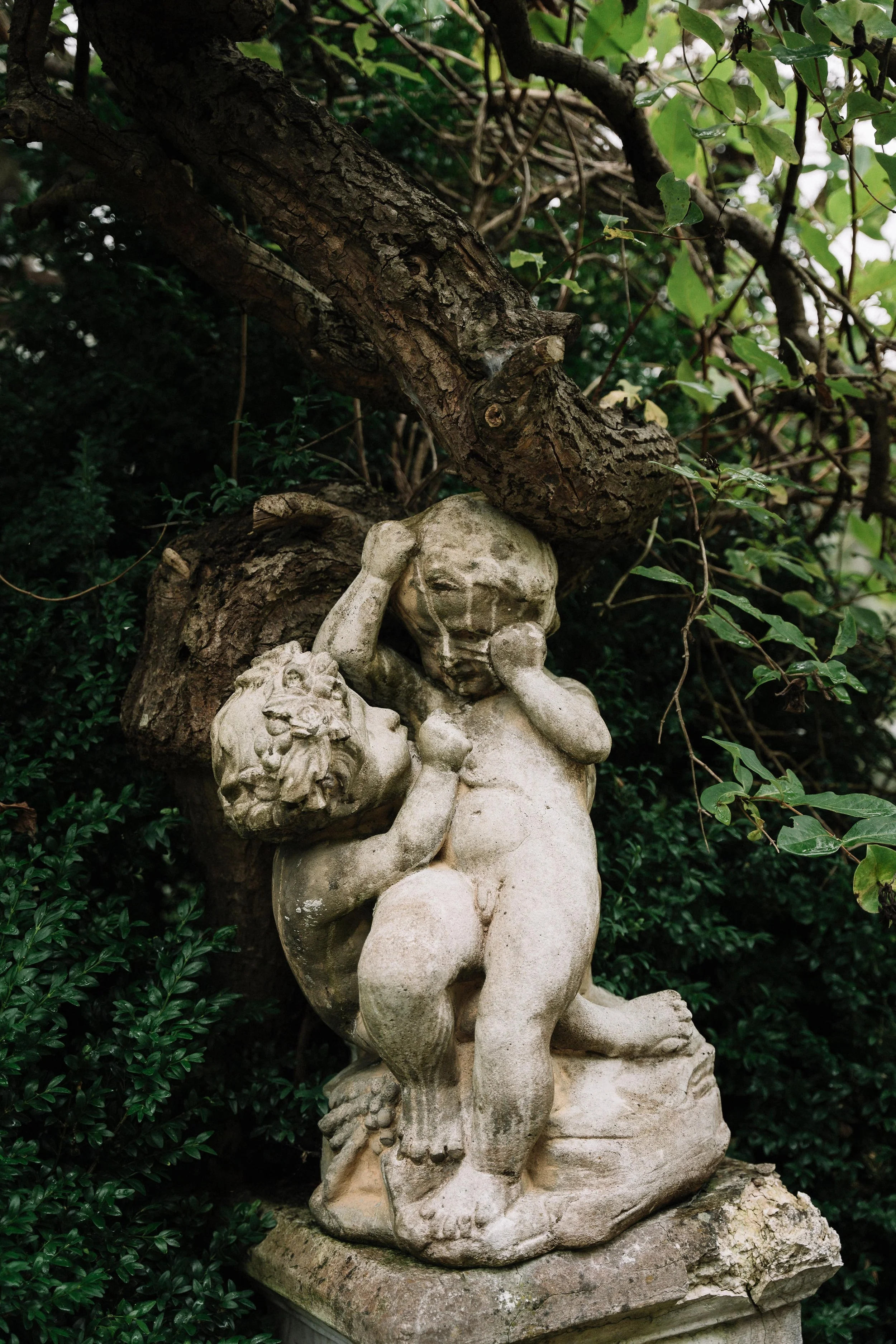 74 - laura_schmatz_die_alte_gärtnerei-00817.jpg