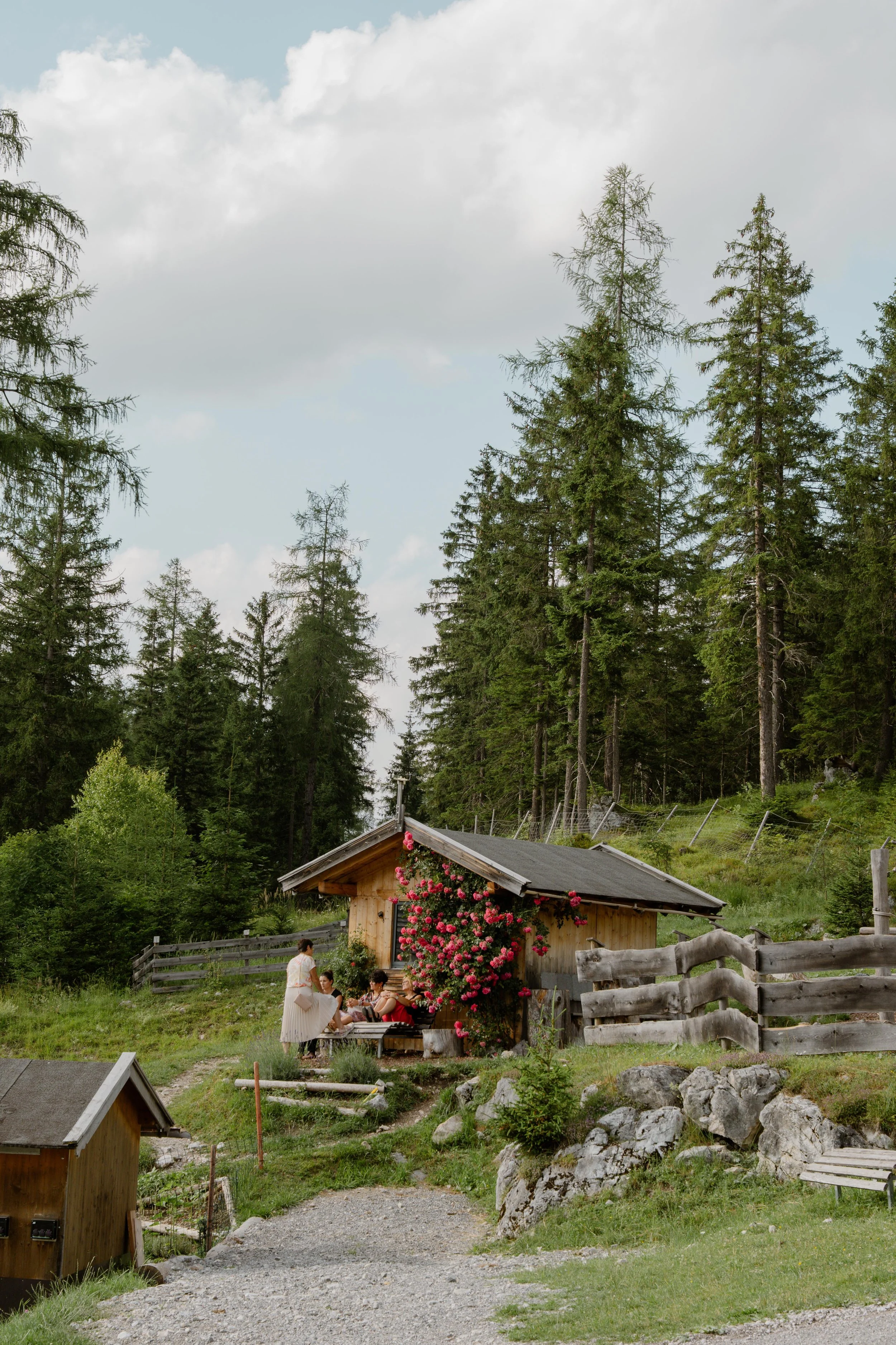 20 - laura_schmatz_a+m-00209.jpg