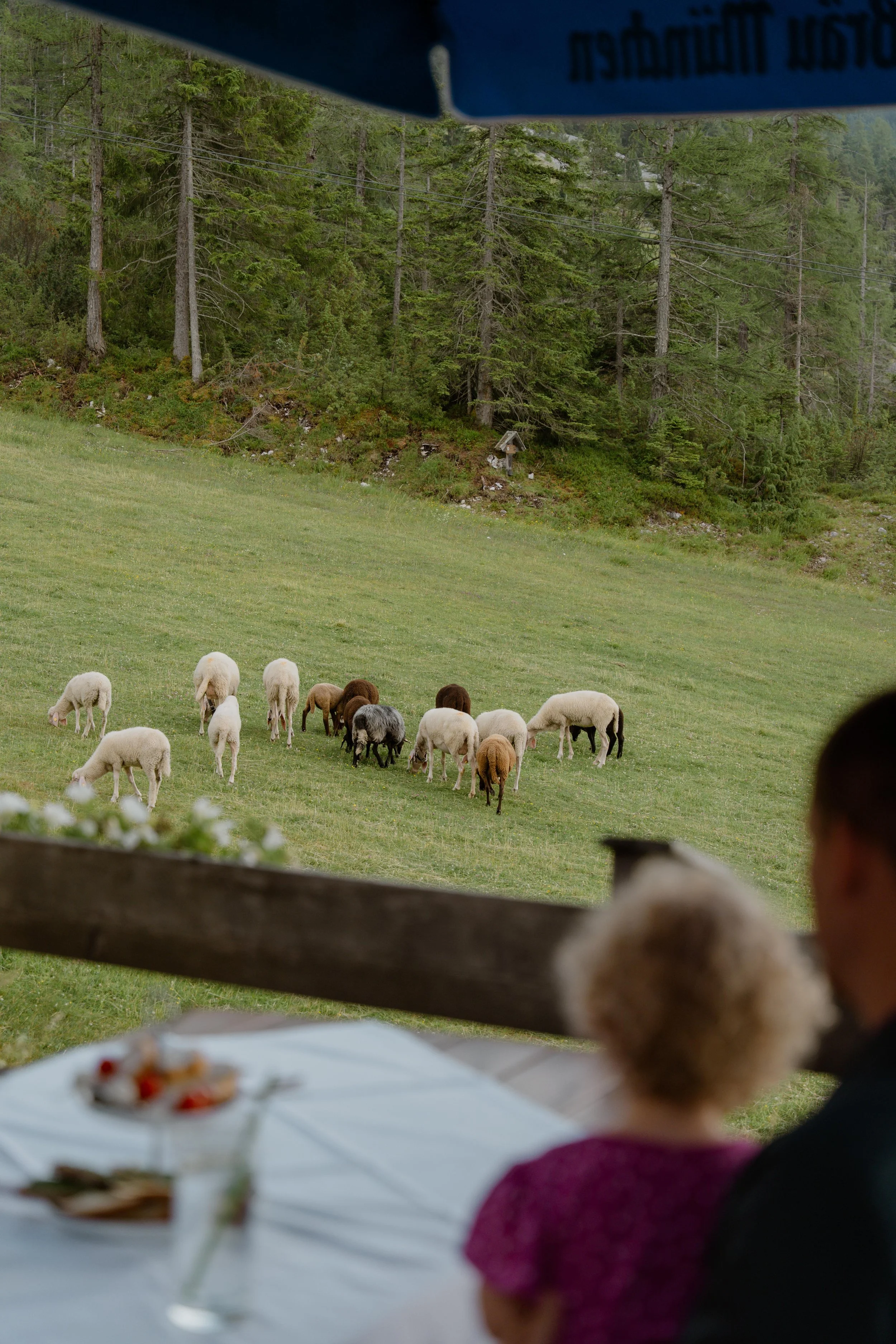 31 - laura_schmatz_a+m-09722.jpg