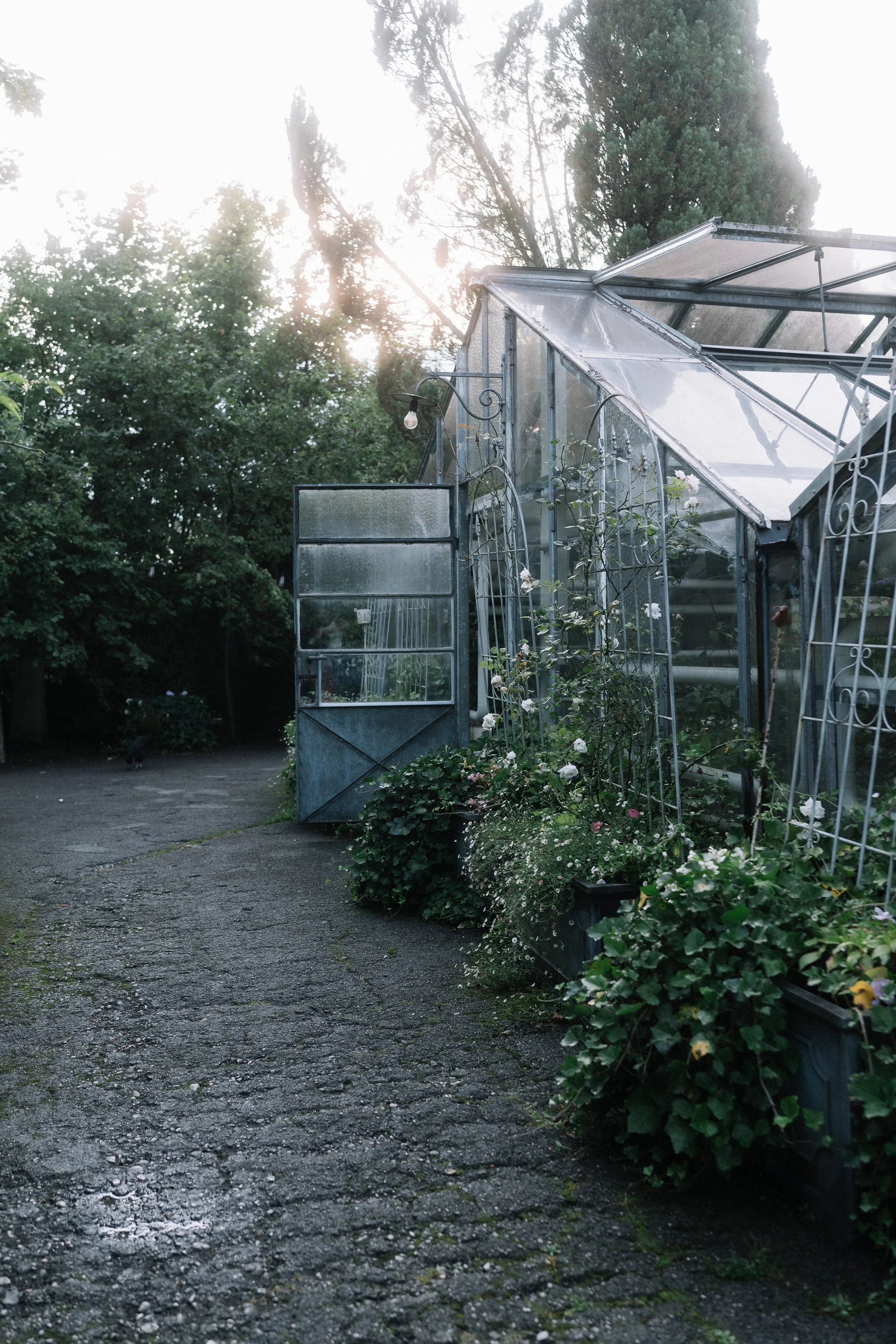 Hochzeit in der Alten Gärtnerei in München – Gewächshaus, Lichterketten und ganz viel Grün