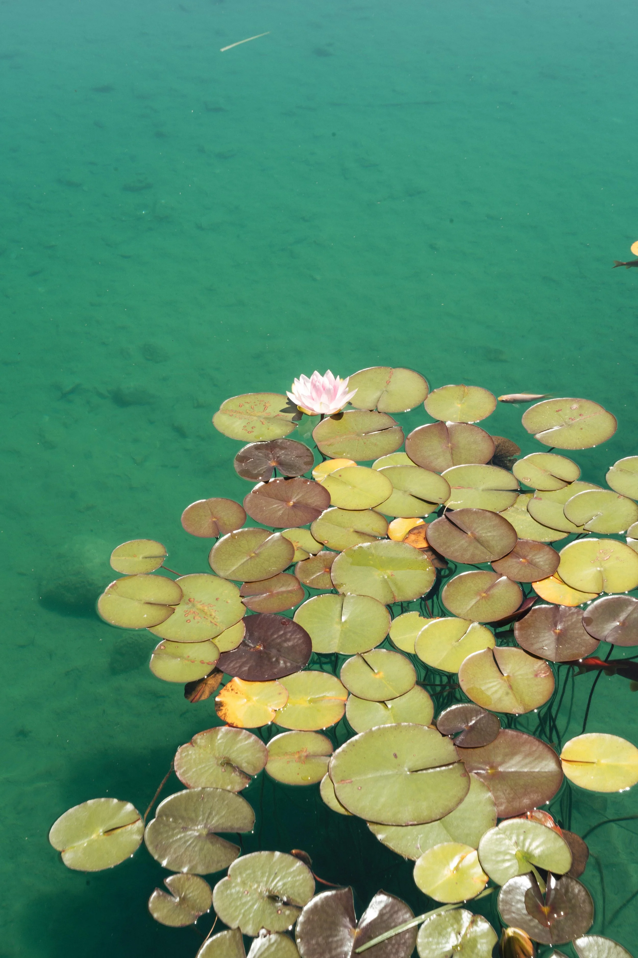 1 - laura_schmatz_a+p-02201.jpg