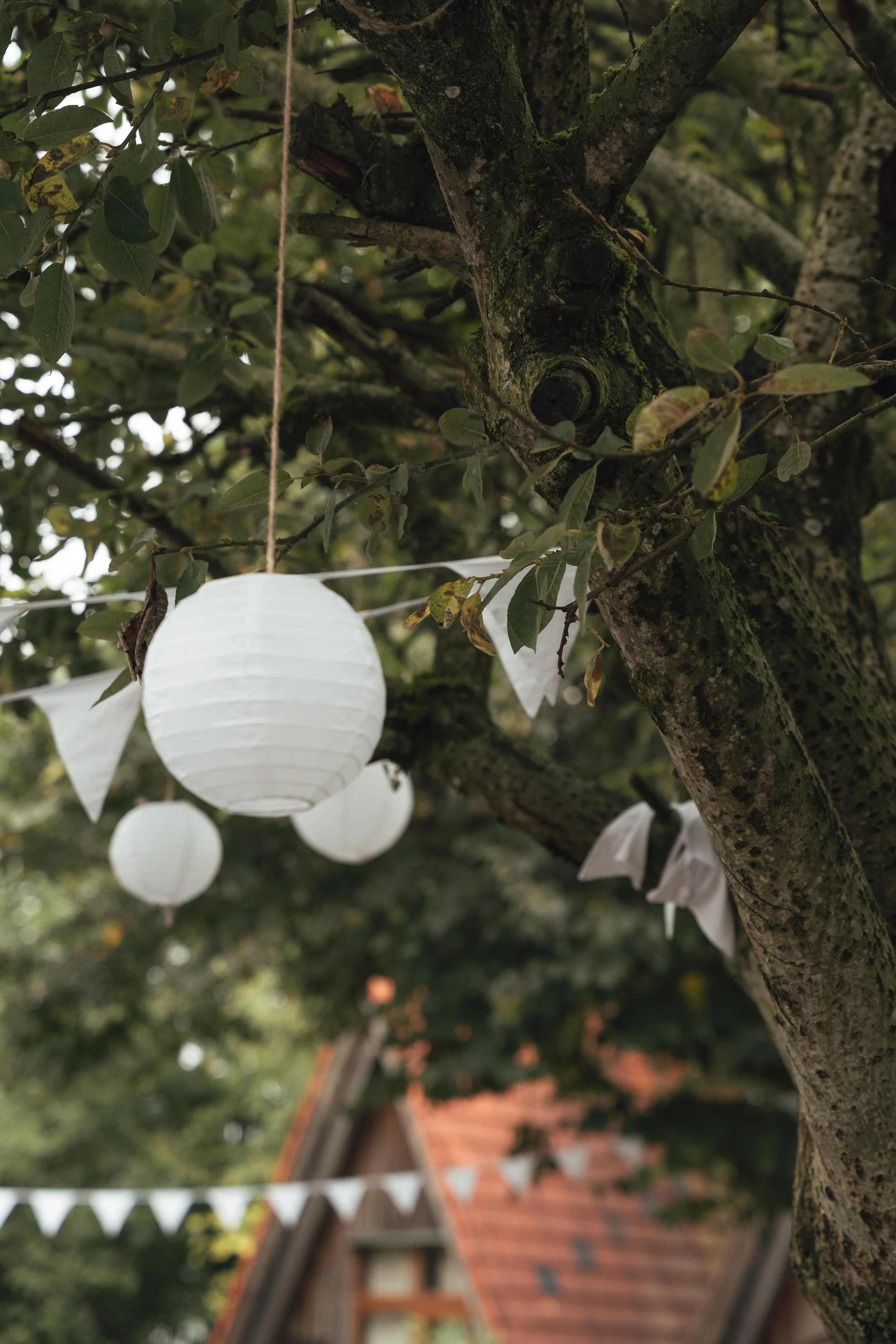 7 - laura_schmatz_t+j-01681.jpg