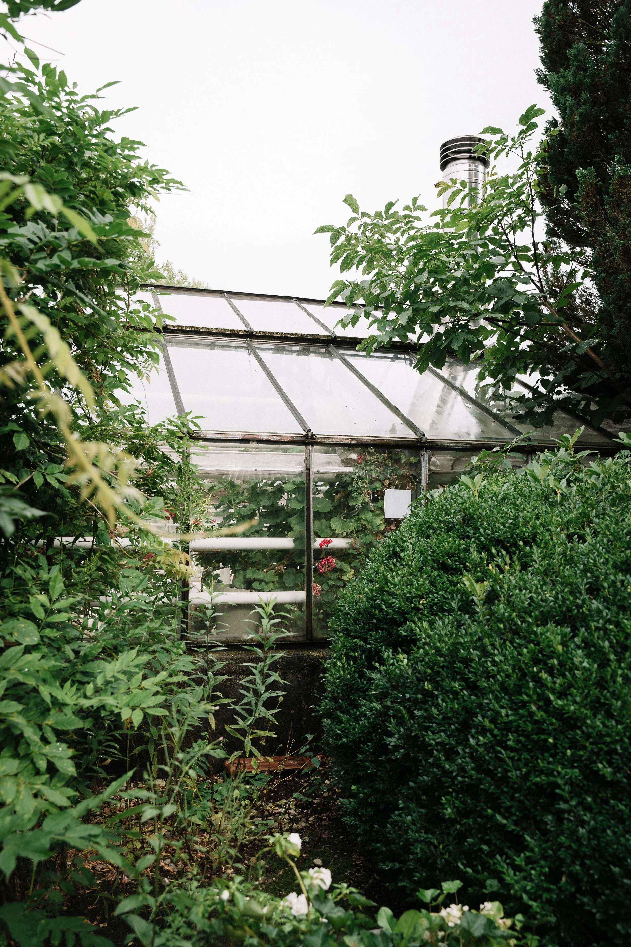 73 - laura_schmatz_die_alte_gärtnerei-00814.jpg