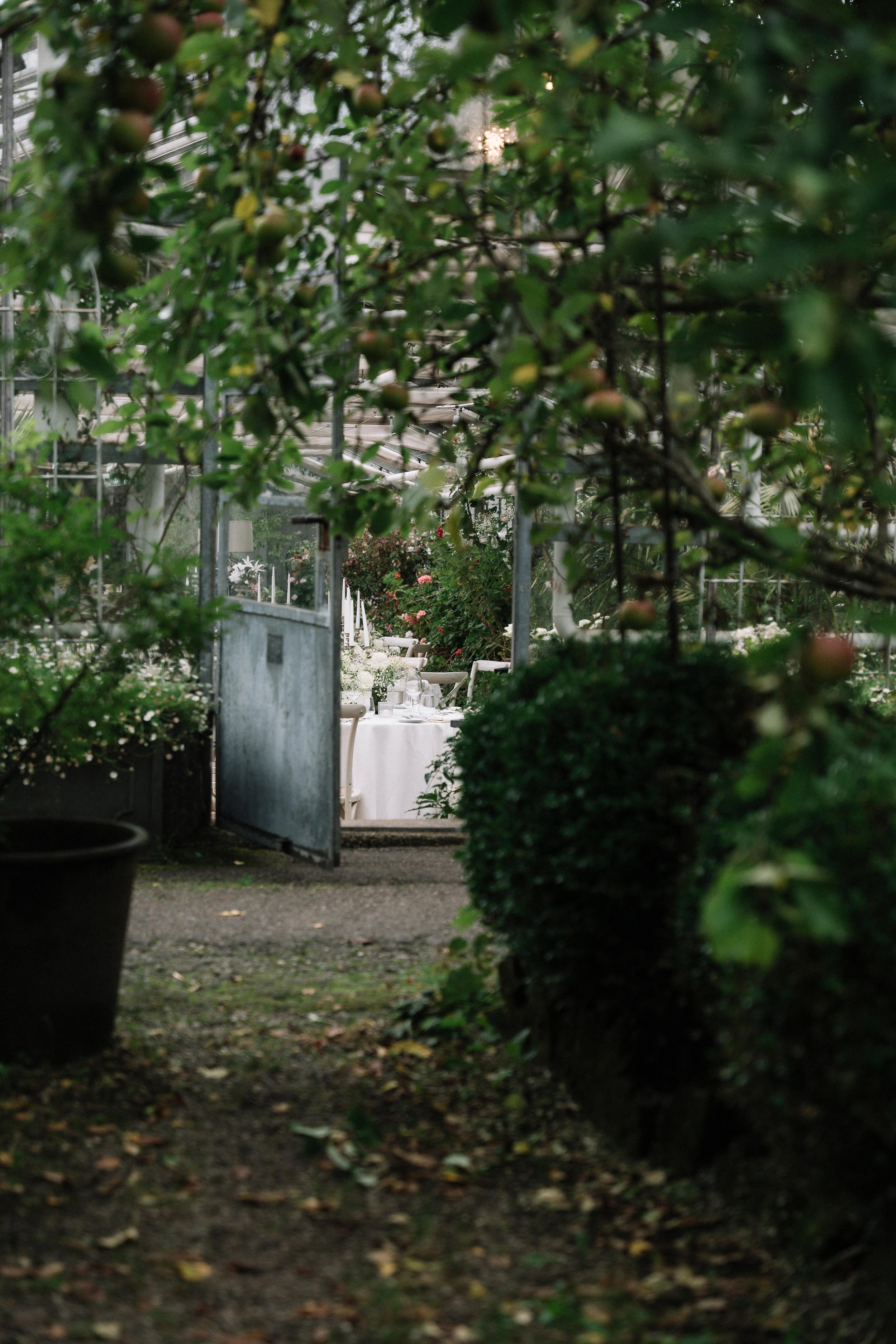 79 - laura_schmatz_die_alte_gärtnerei-00856.jpg