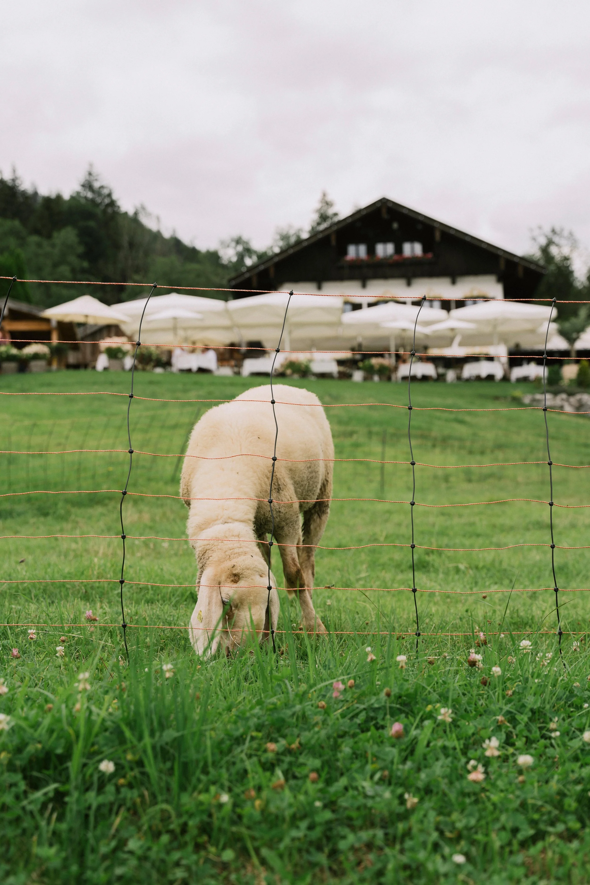 65 - laura_schmatz-09044.jpg