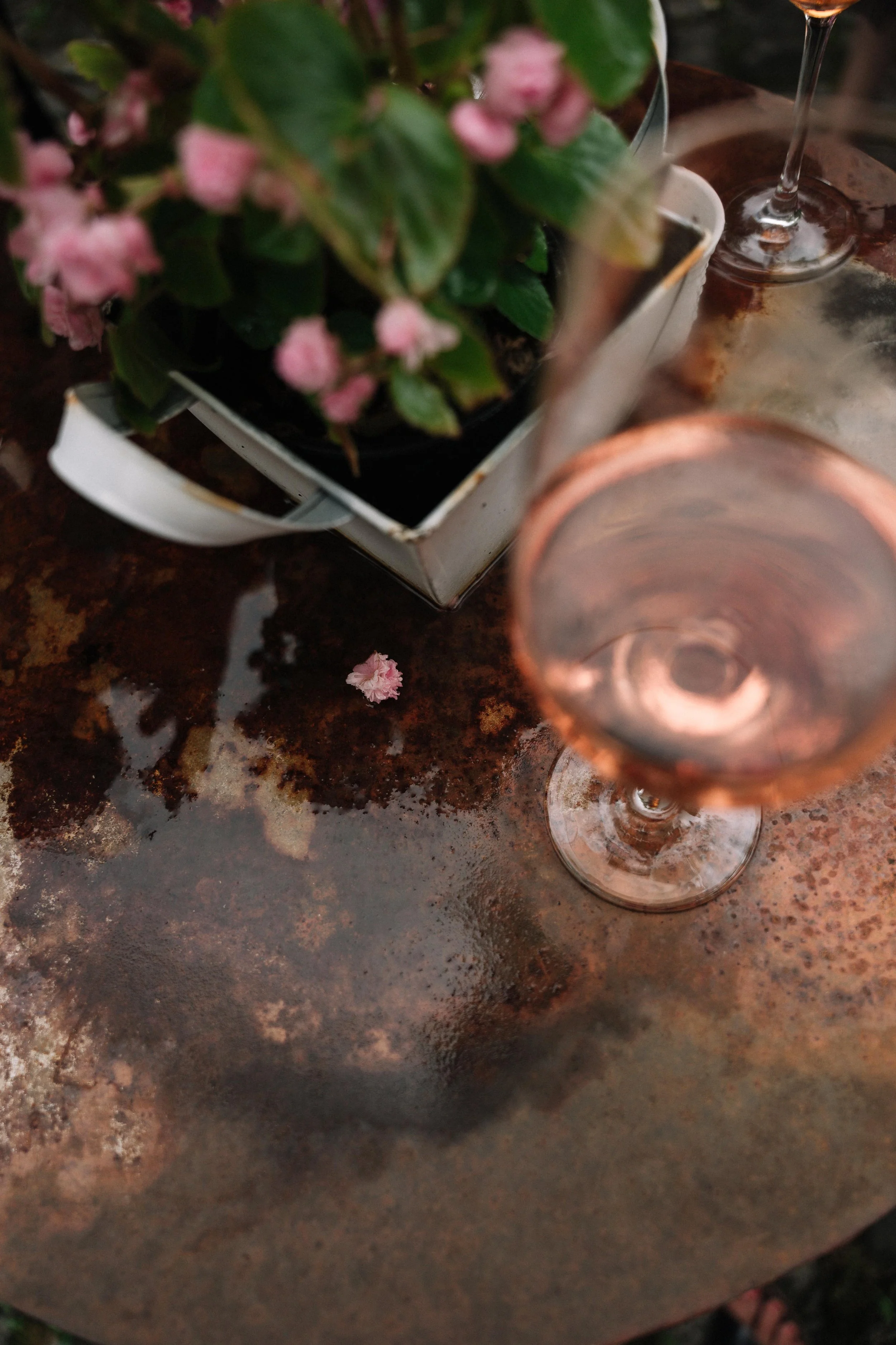 76 - laura_schmatz_die_alte_gärtnerei-00829.jpg