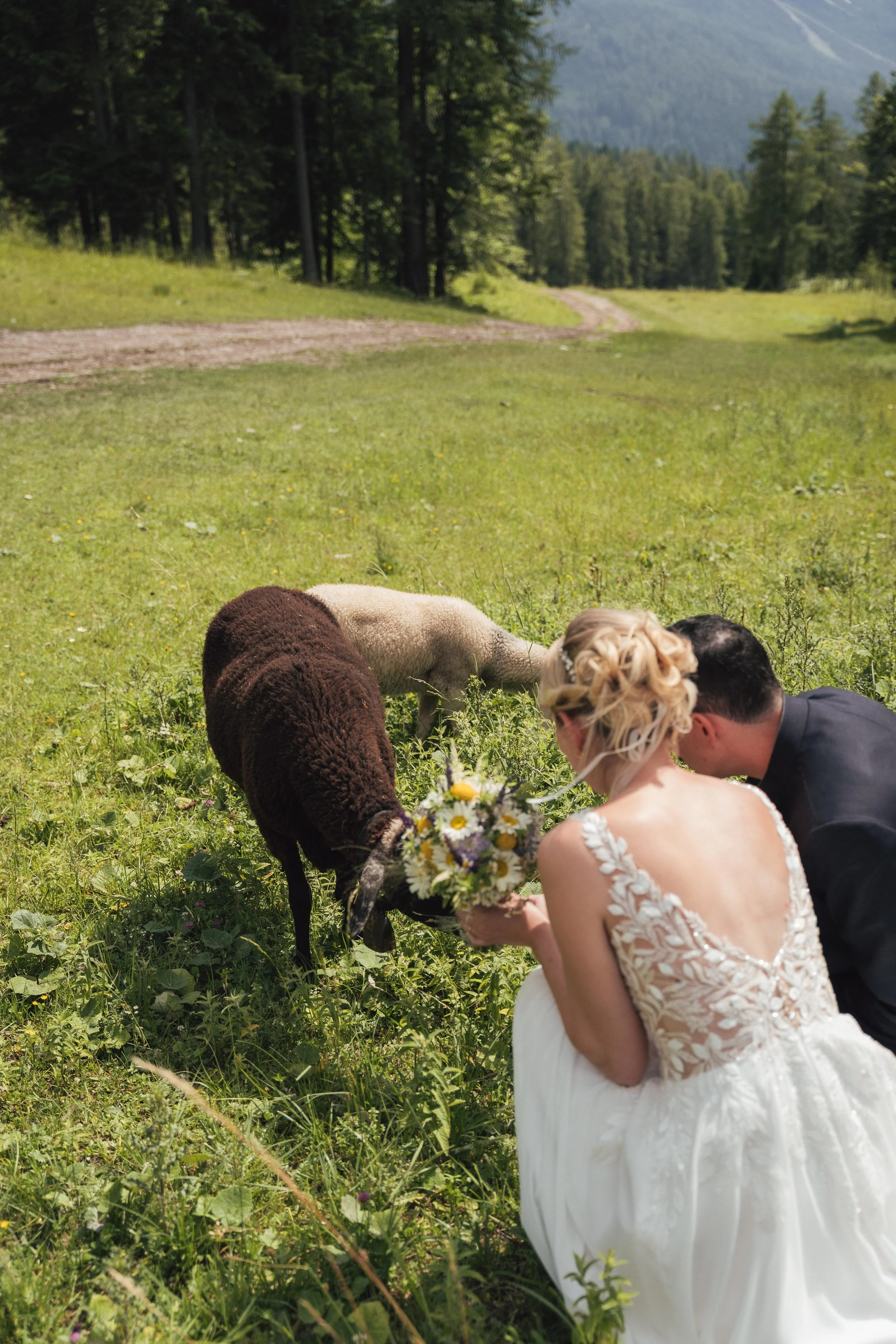 43 - laura_schmatz-e-d-07796.jpg