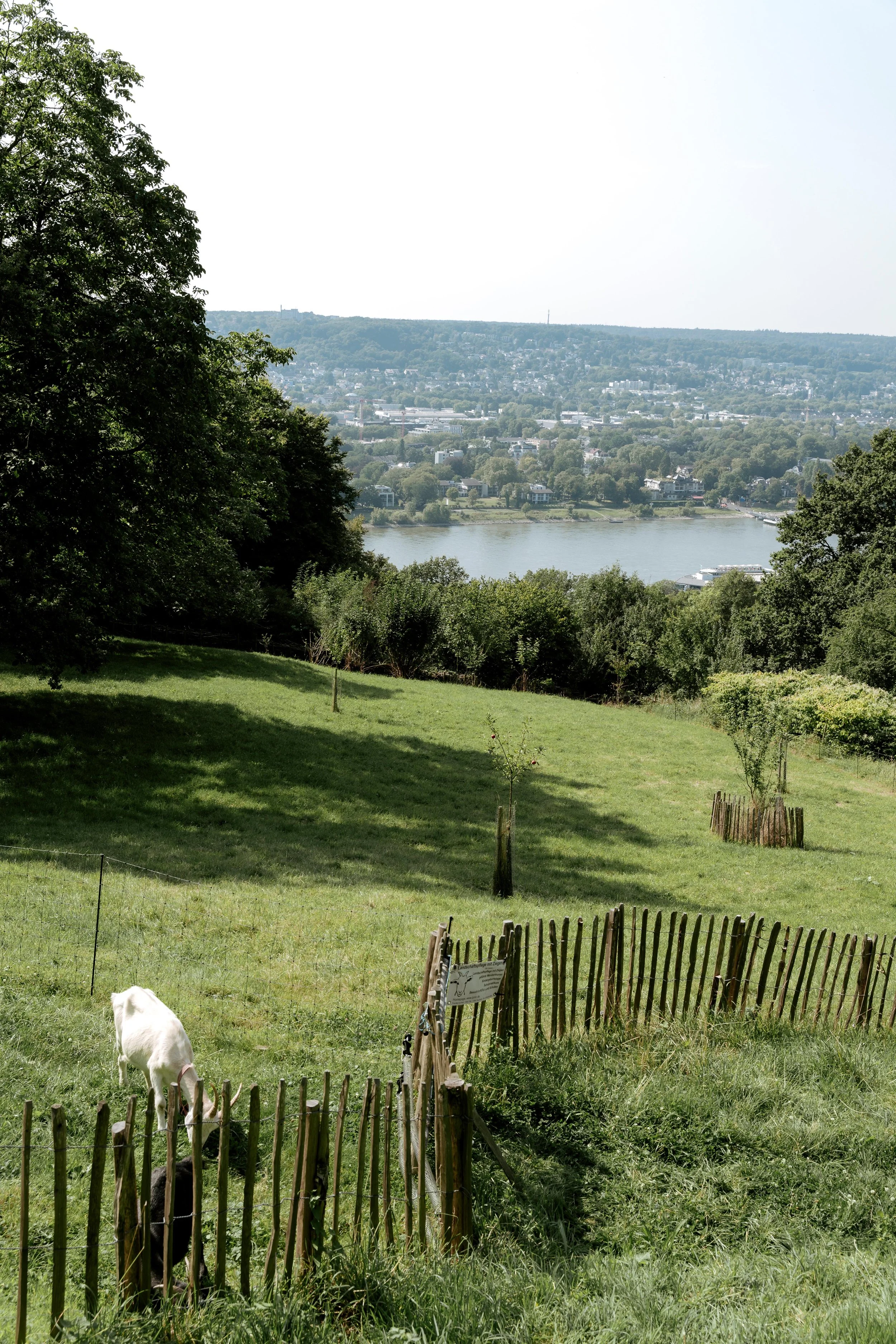 85 - laura_schmatz_n+f_coffeecake-08658.jpg